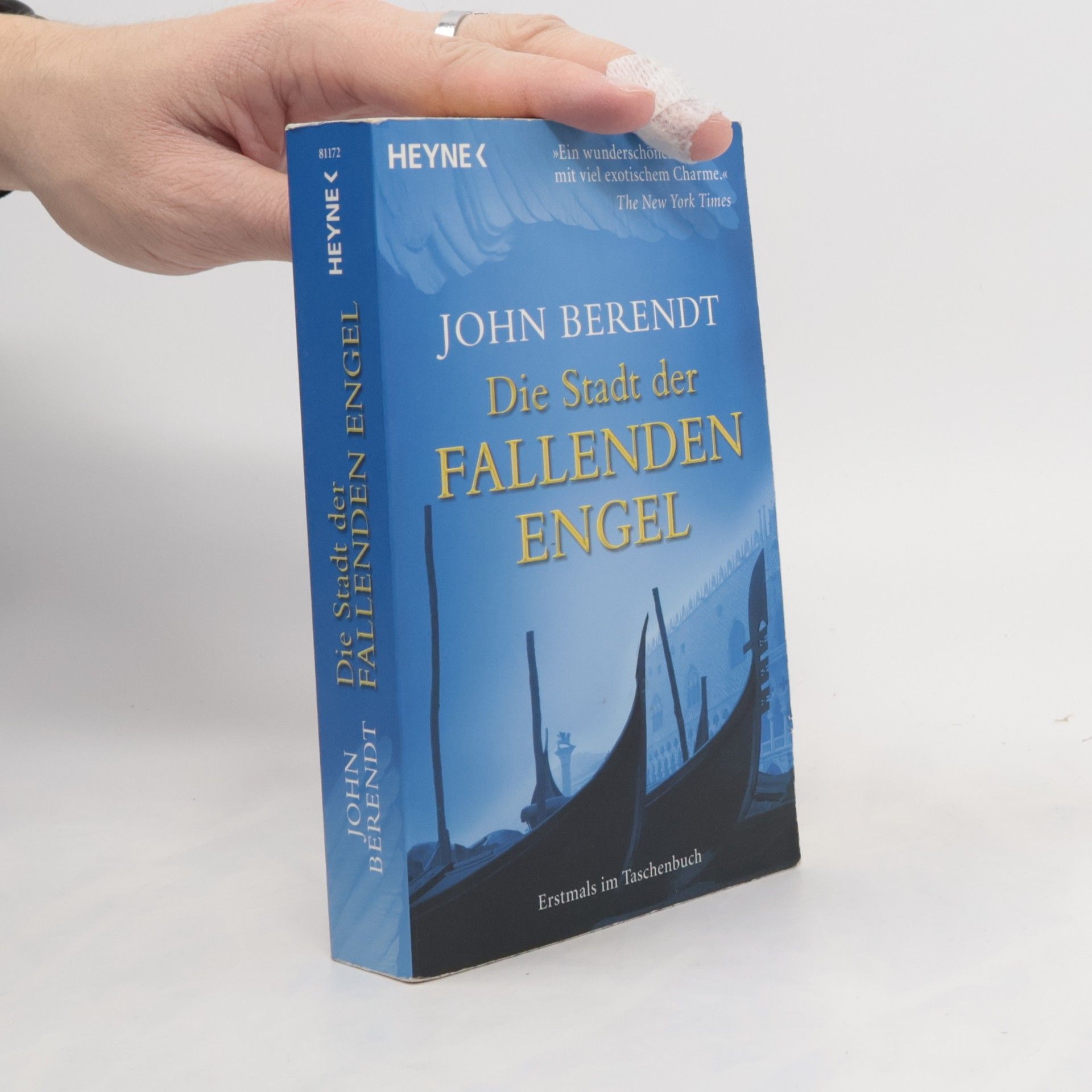 Die Stadt der fallenden Engel