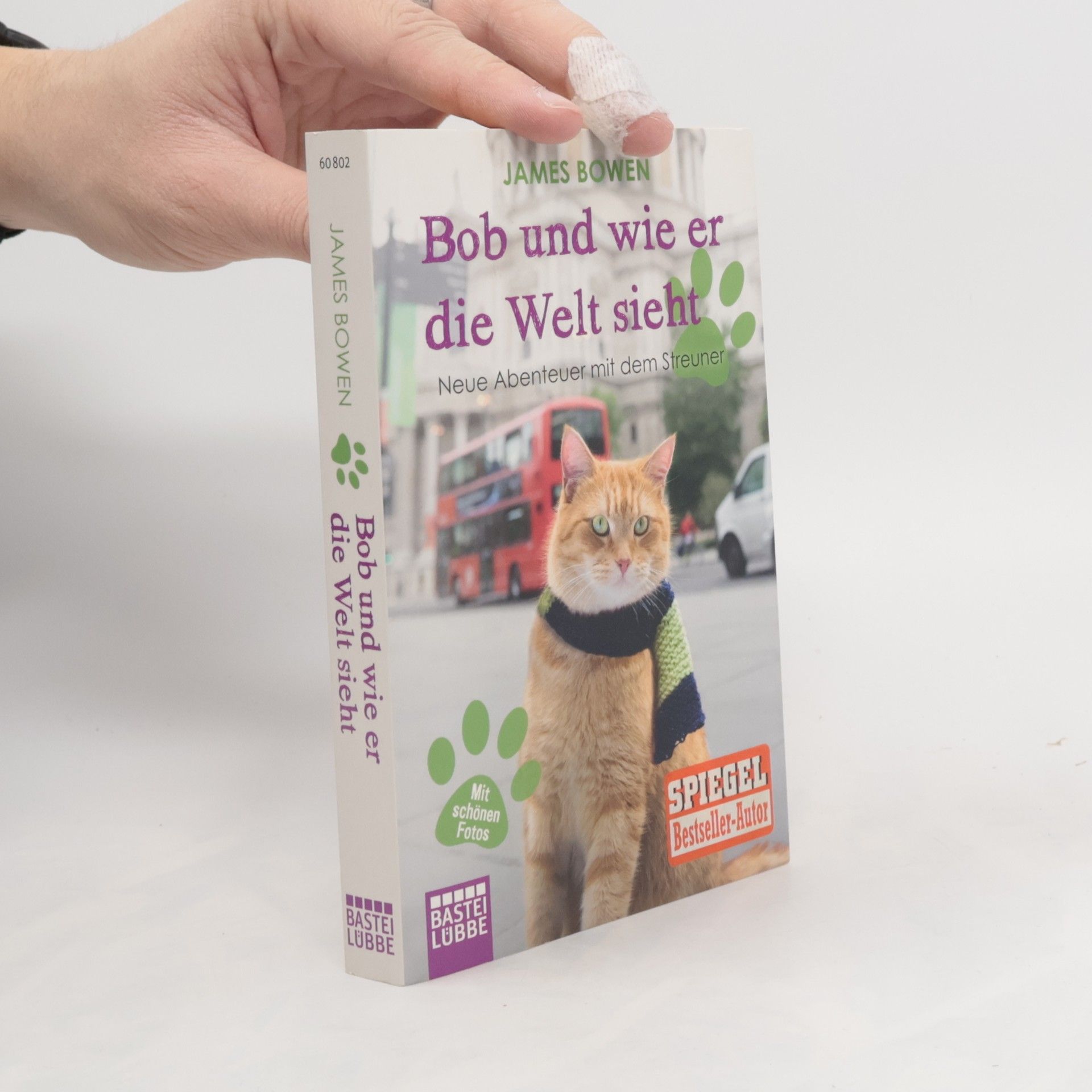 James Bowen Bob und wie er die Welt sieht