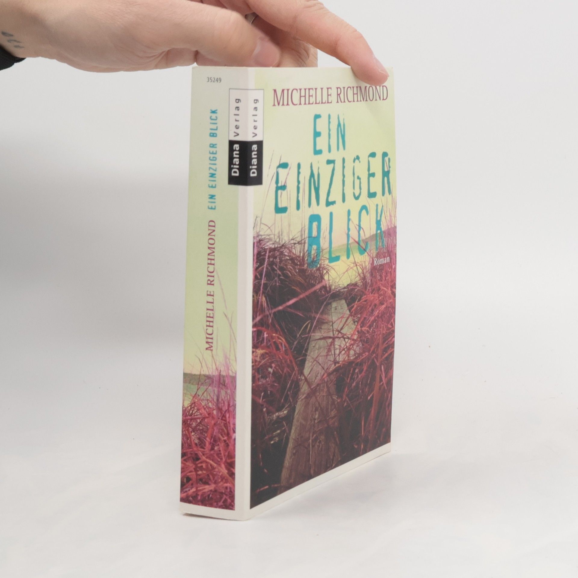 Michelle Richmond Ein einziger Blick