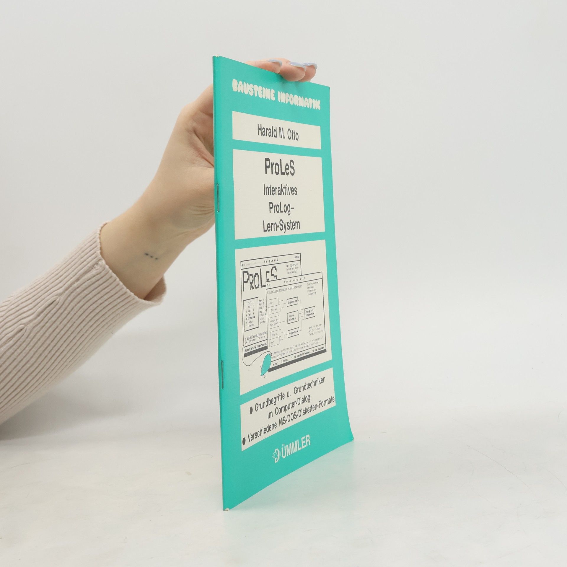 Harald M. Otto Bausteine Informatik: ProLeS