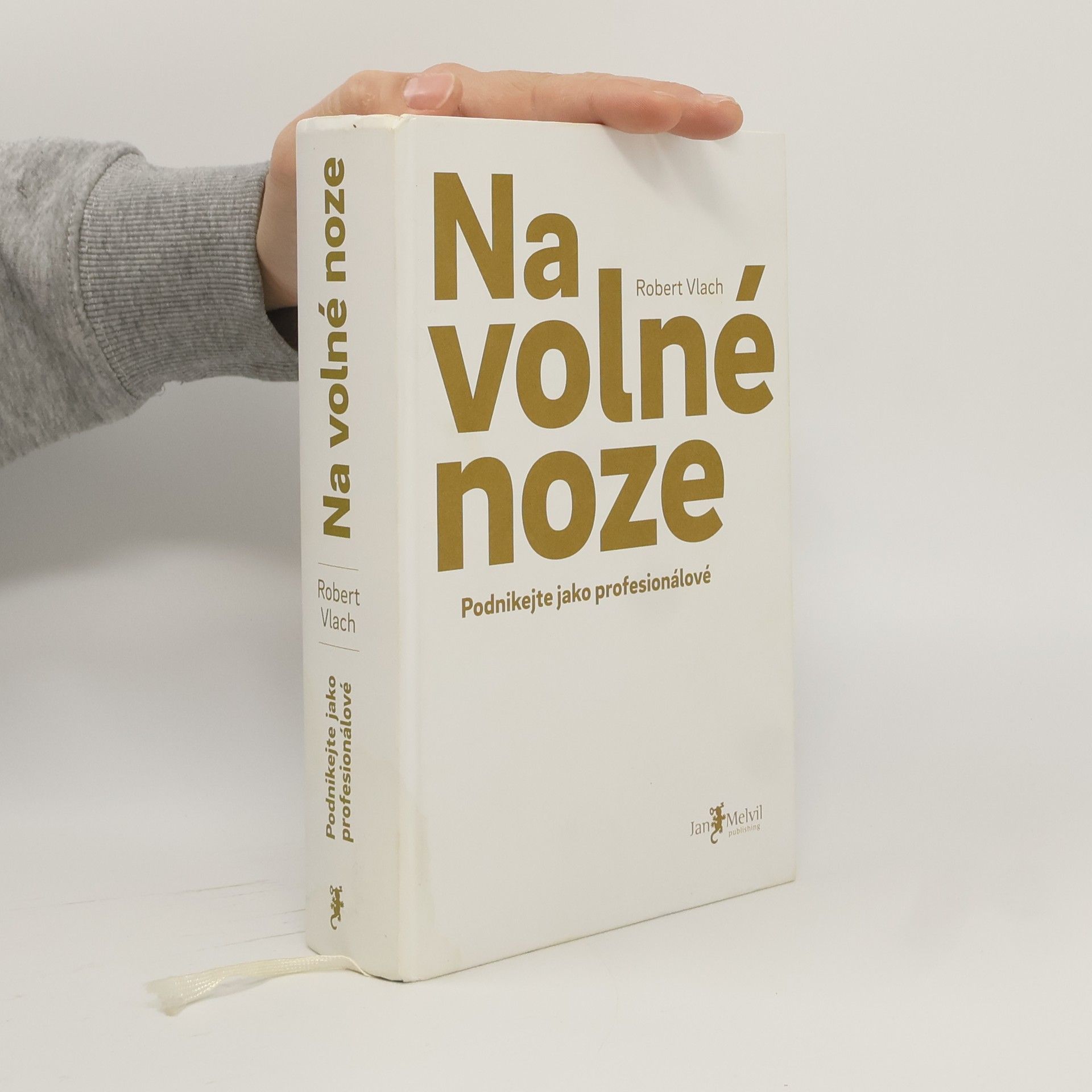 Robert Vlach (podnikatel) Na volné noze