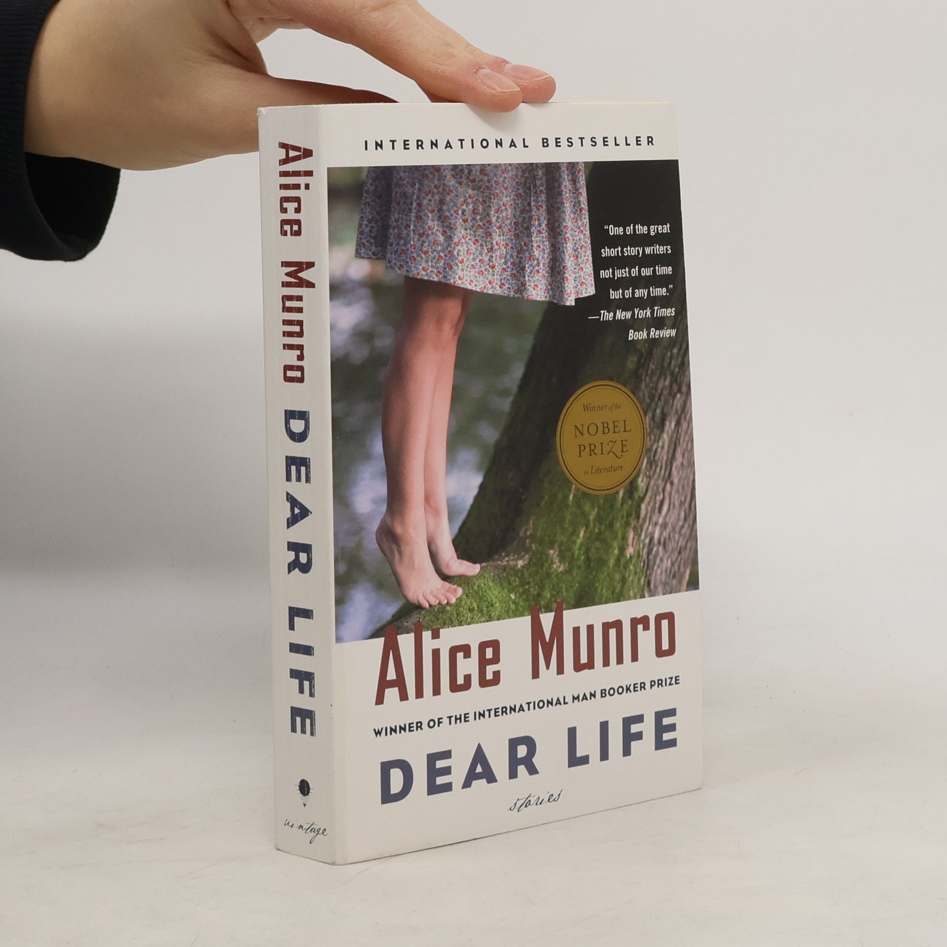 Alice Munro Dear Life