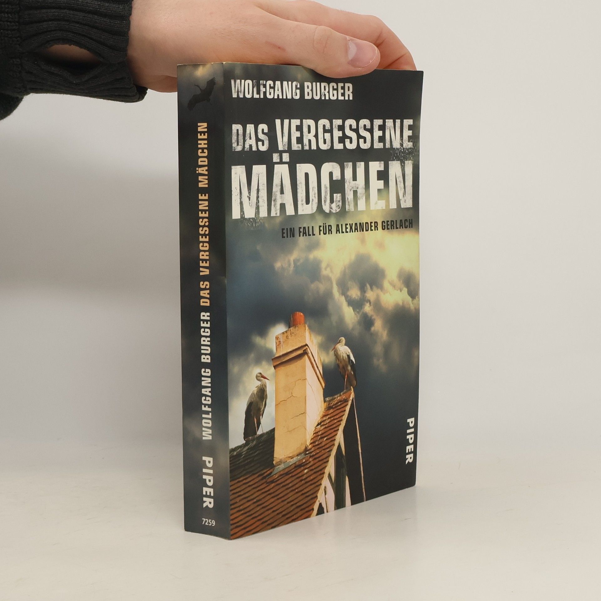 Wolfgang Burger Das vergessene Mädchen