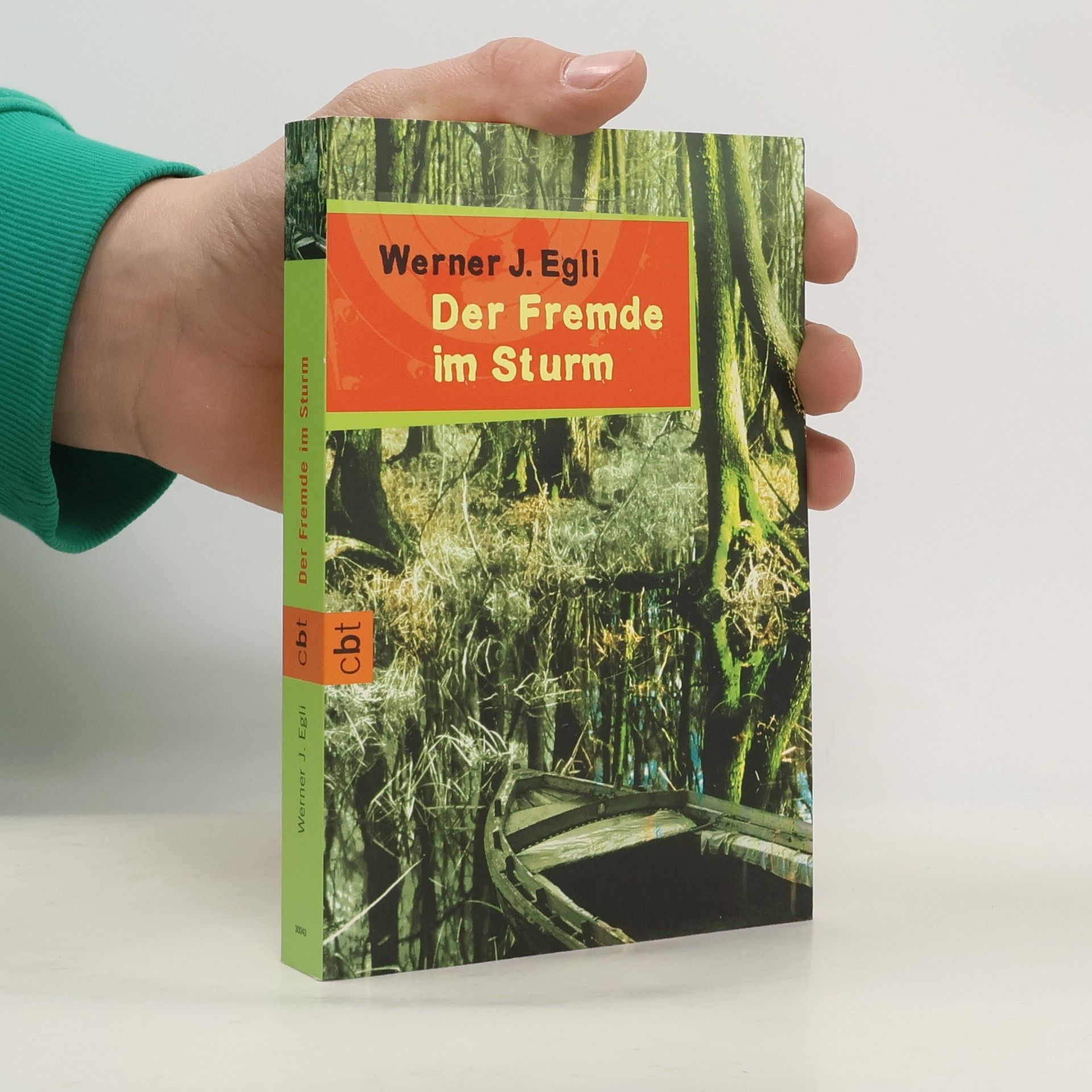 Werner J. Egli Der Fremde im Sturm