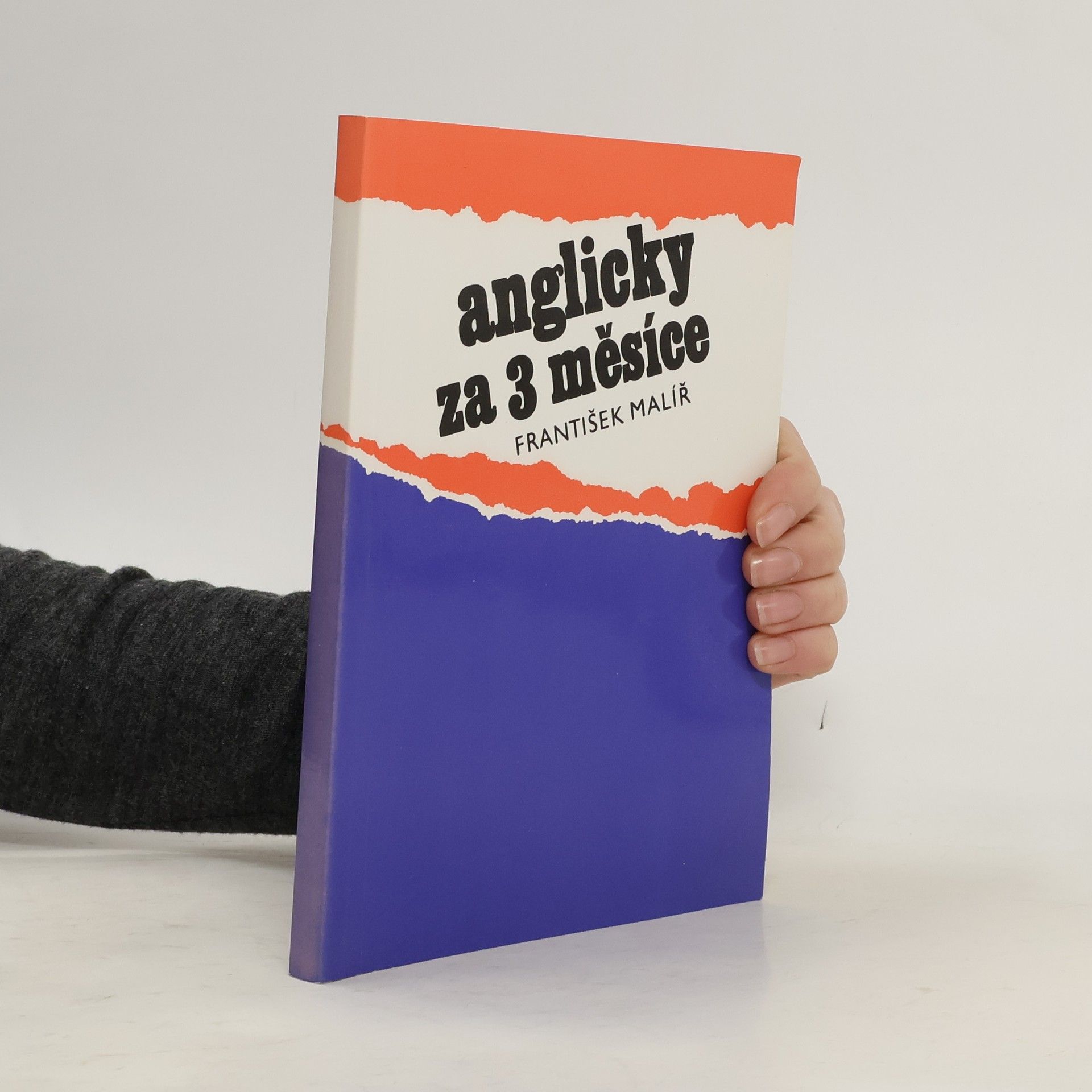 František Malíř Anglicky za 3 měsíce