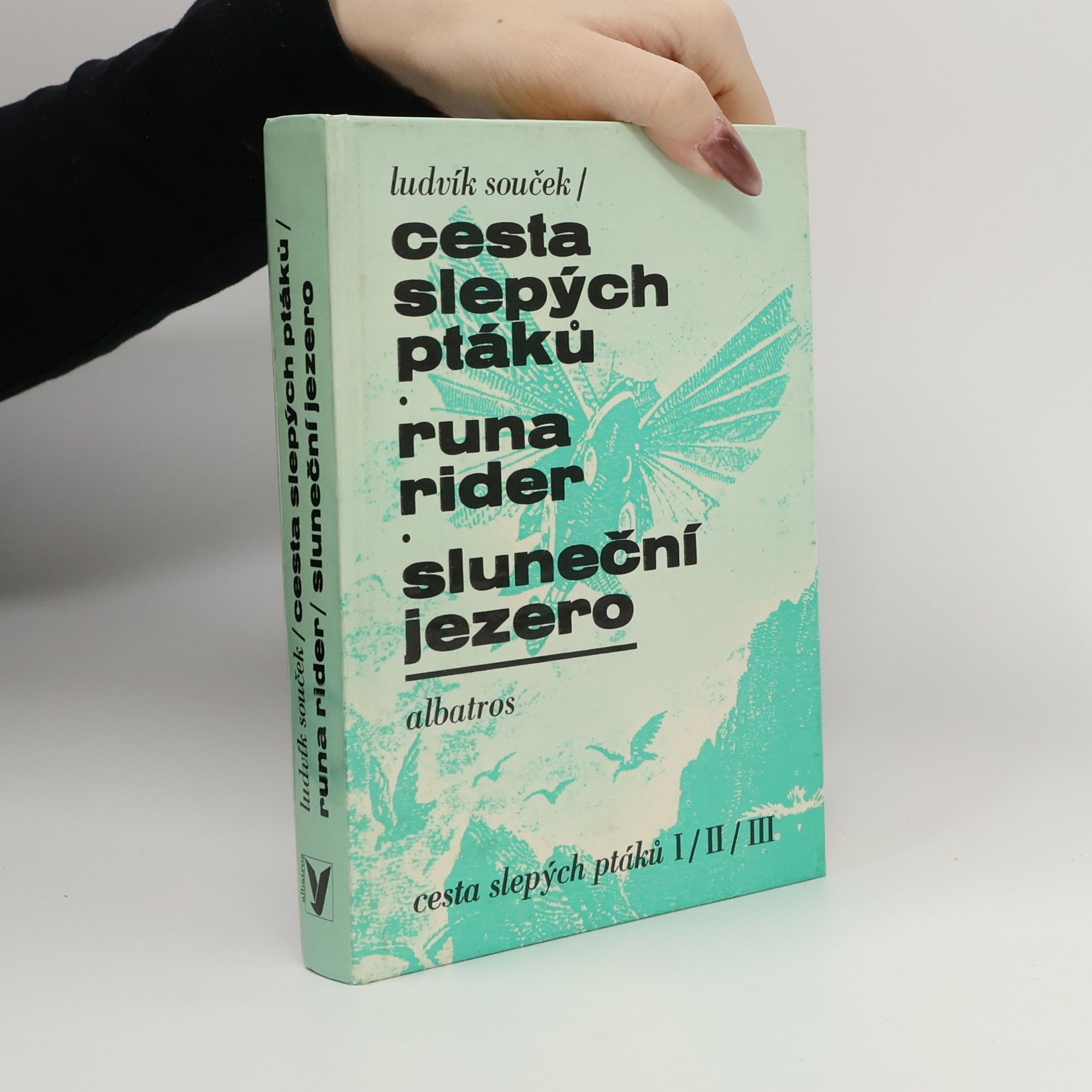 Ludvík Souček Cesta slepých ptáků, Runa rider, Sluneční jezero