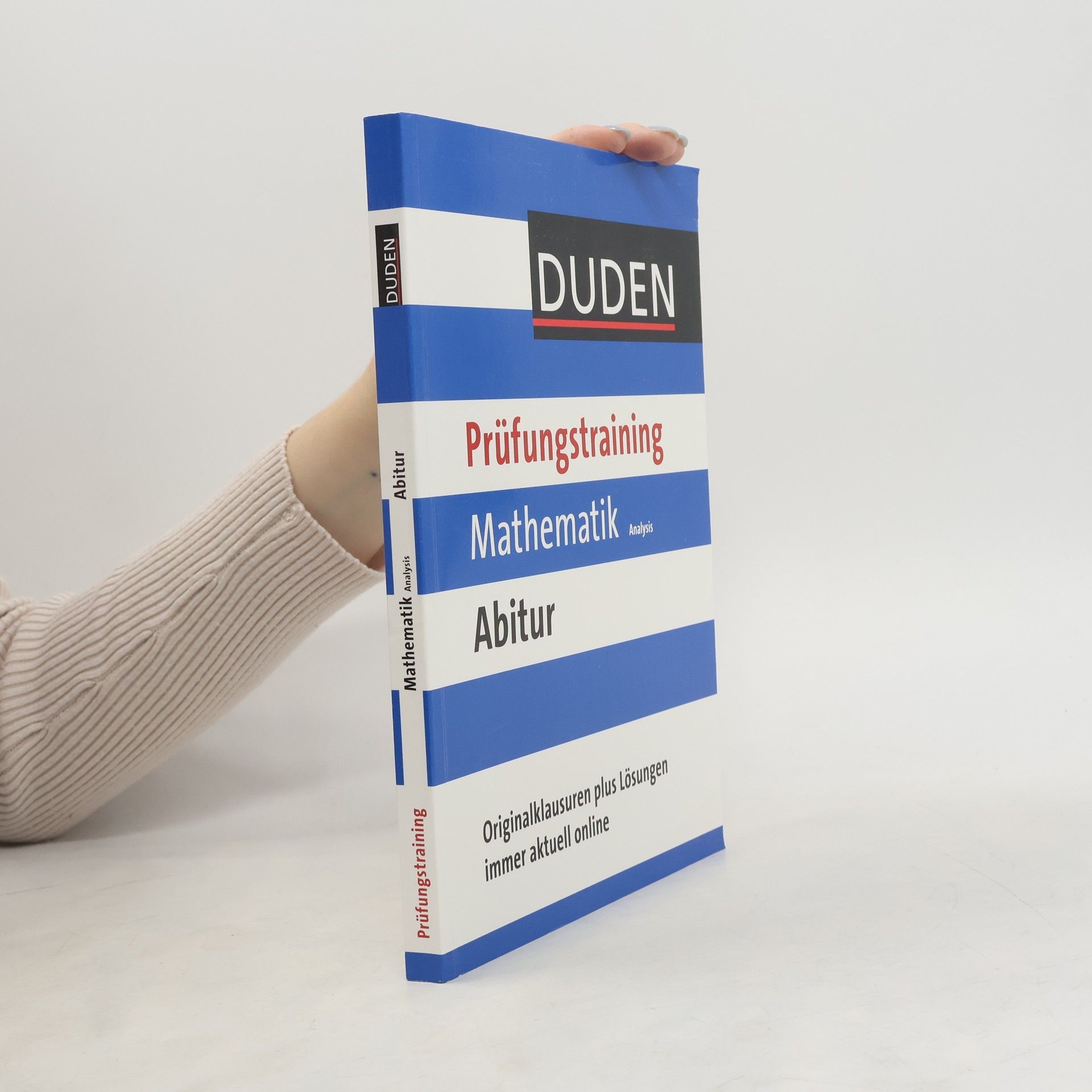 Eva Danner Prüfungstraining Mathematik Abitur