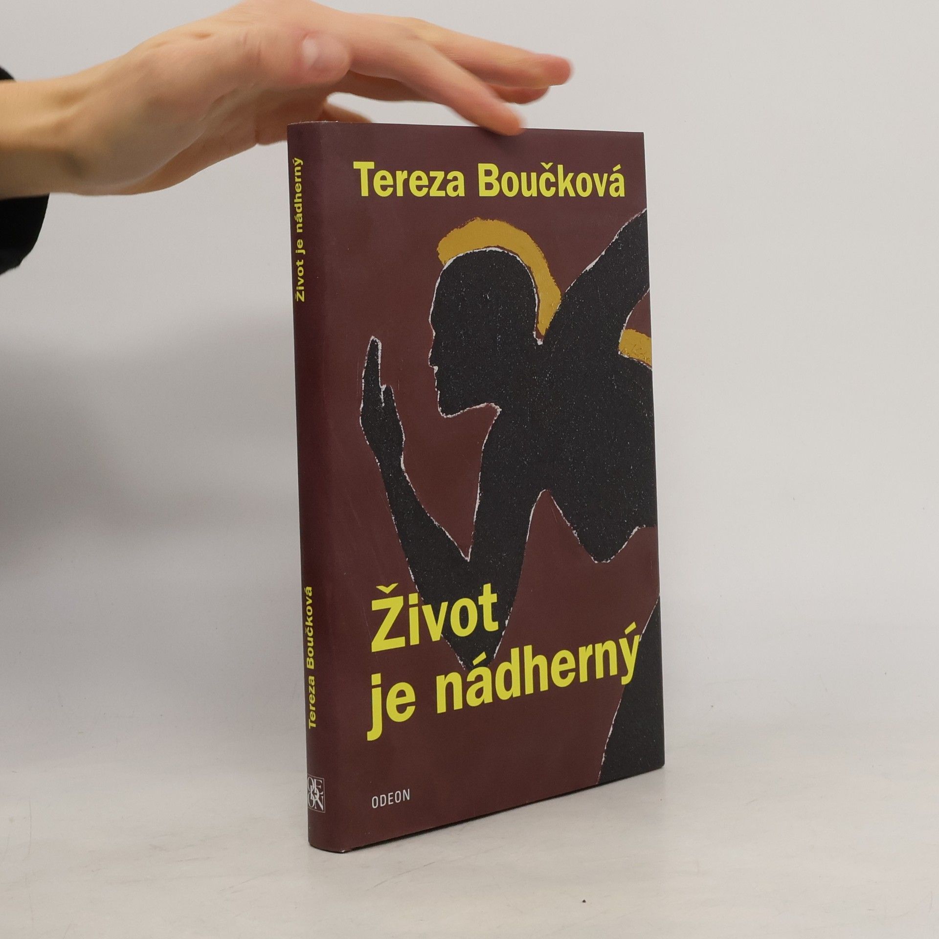 Tereza Boučková Život je nádherný