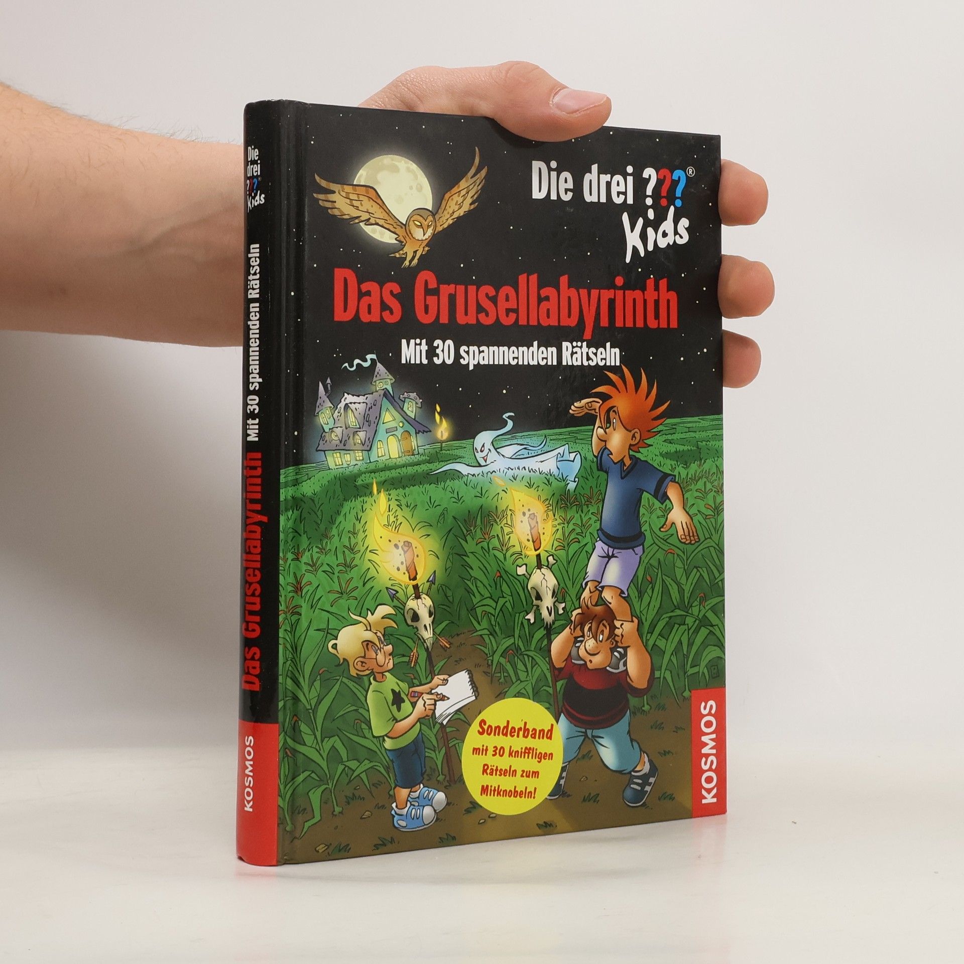 Ulf Blanck Das Grusellabyrinth