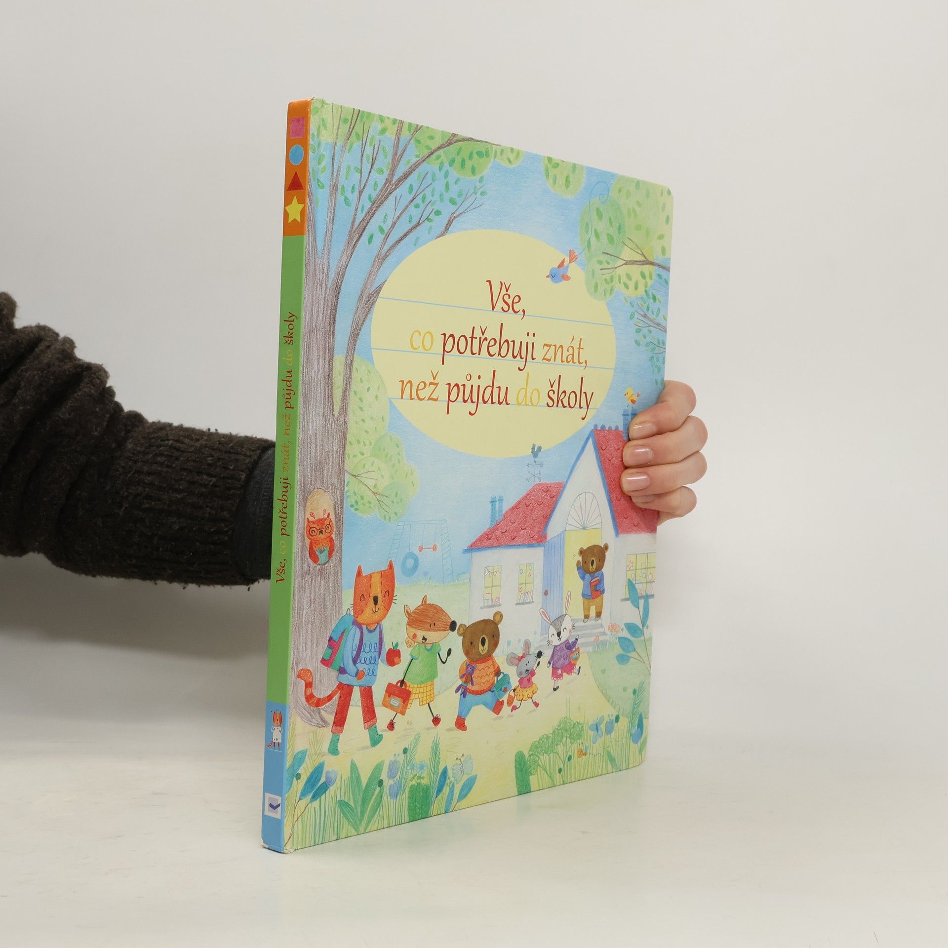 Felicity Brooks Vše, co potřebuji znát, než půjdu do školy