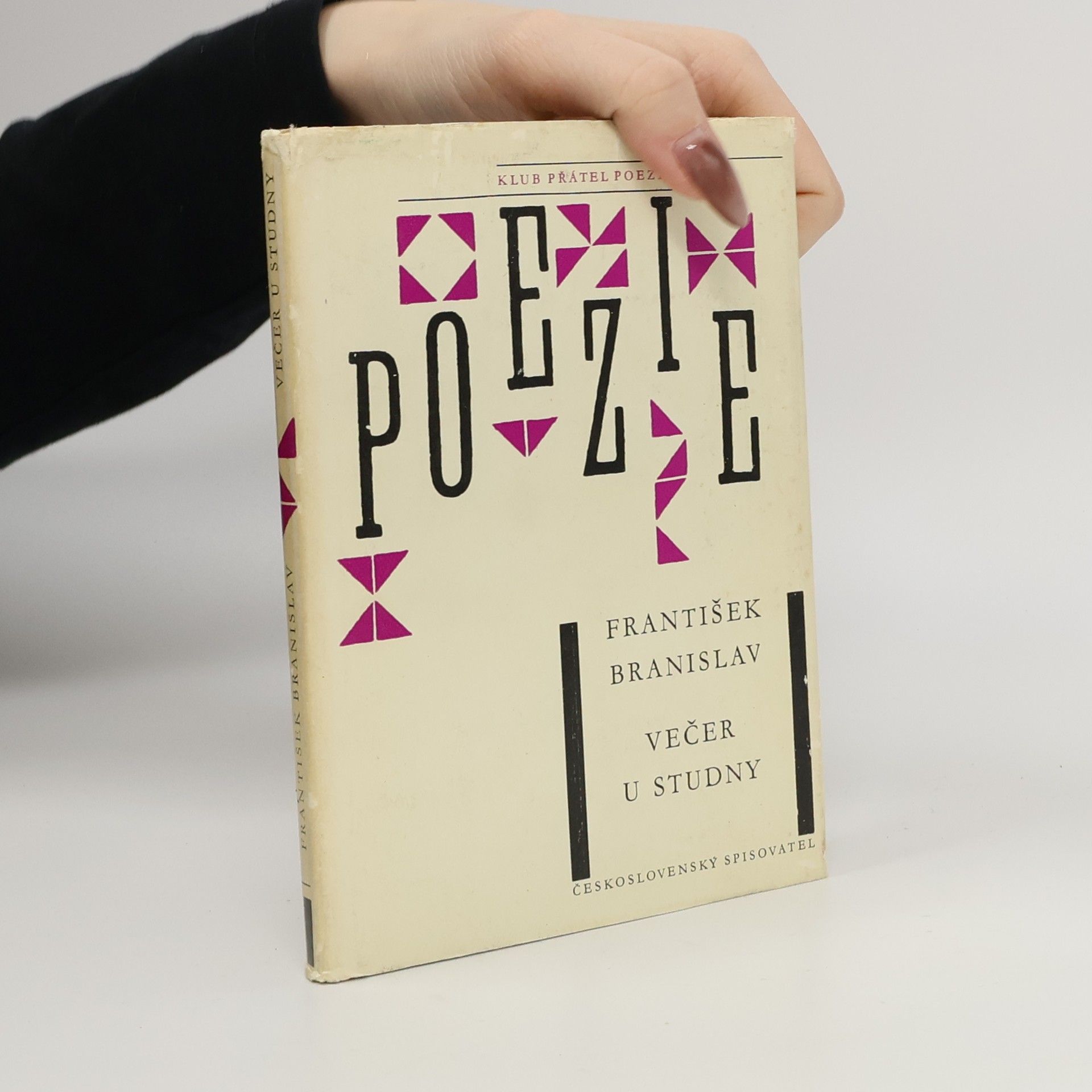 František Branislav Večer u studny