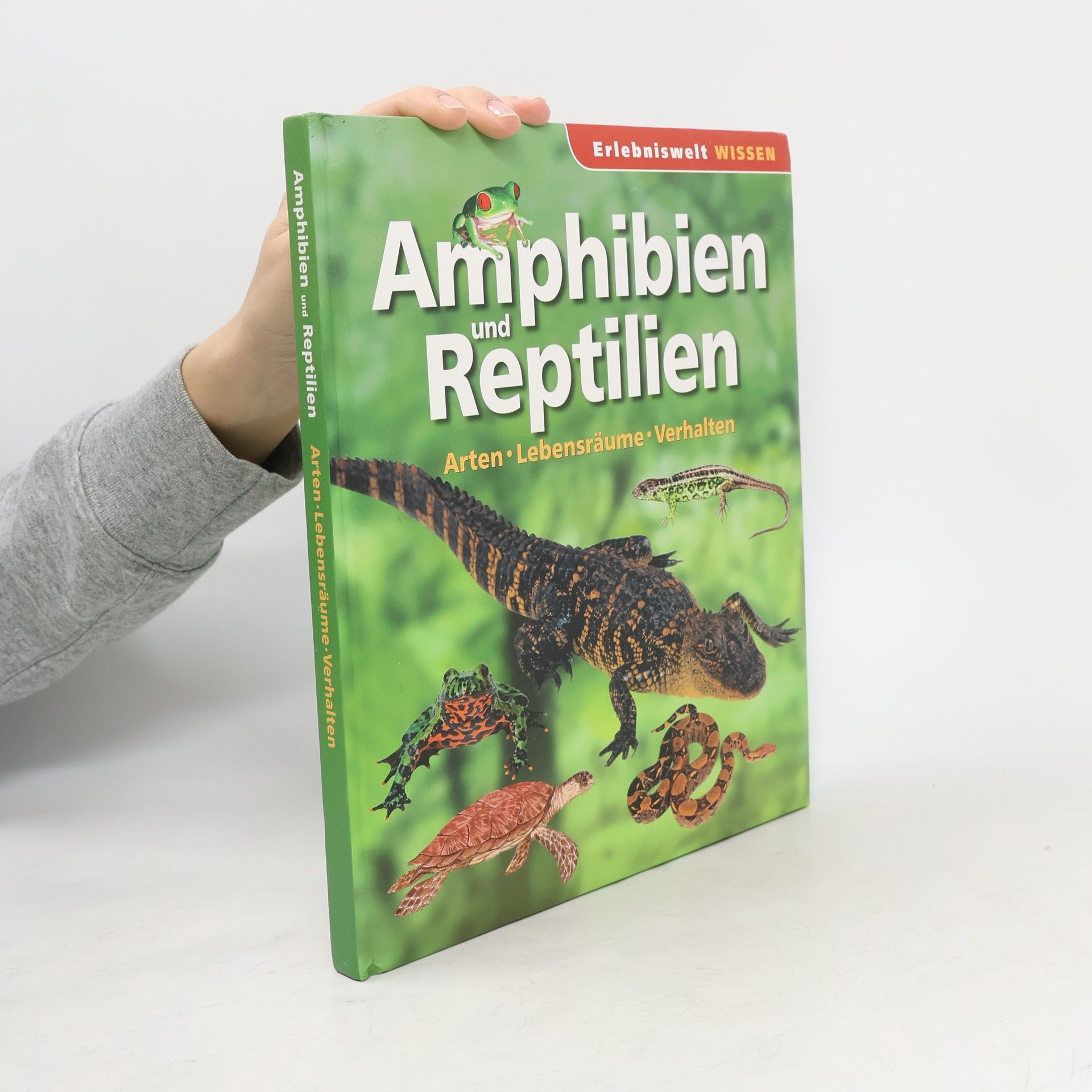 Autorenkollektiv Amphibien und Reptilien