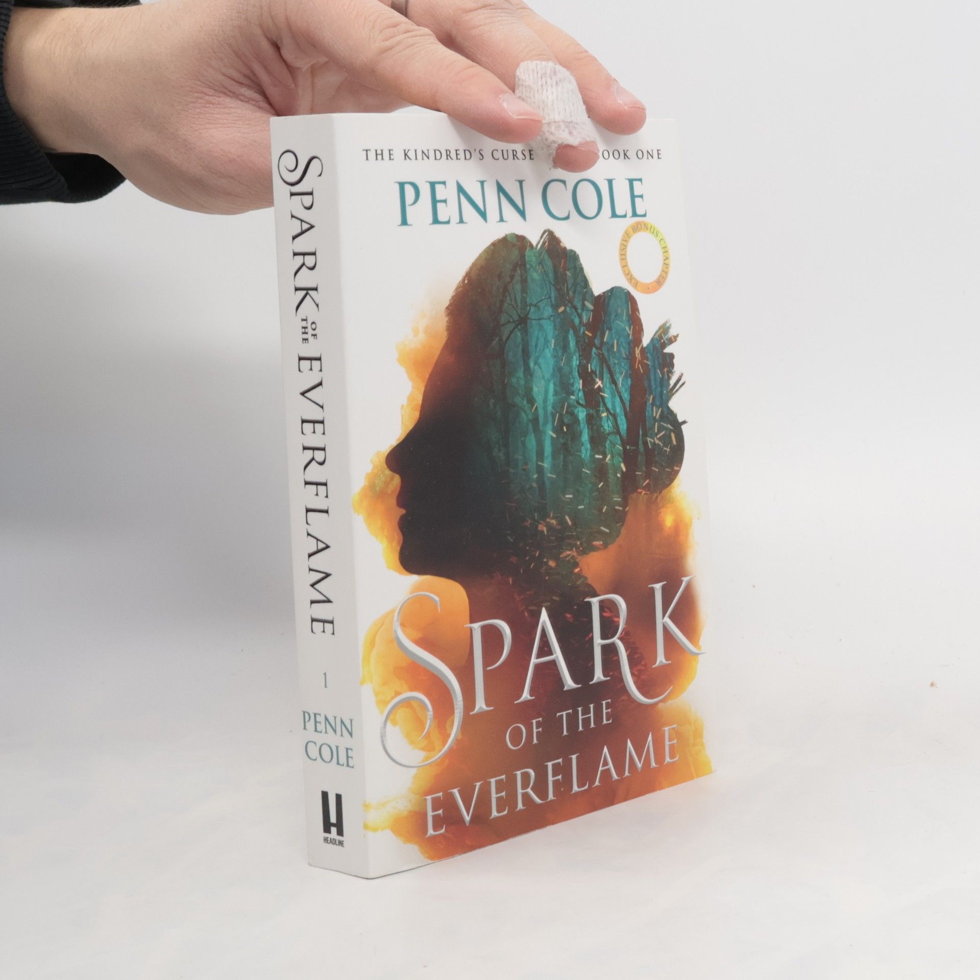 Penn Cole Spark of the Everflame