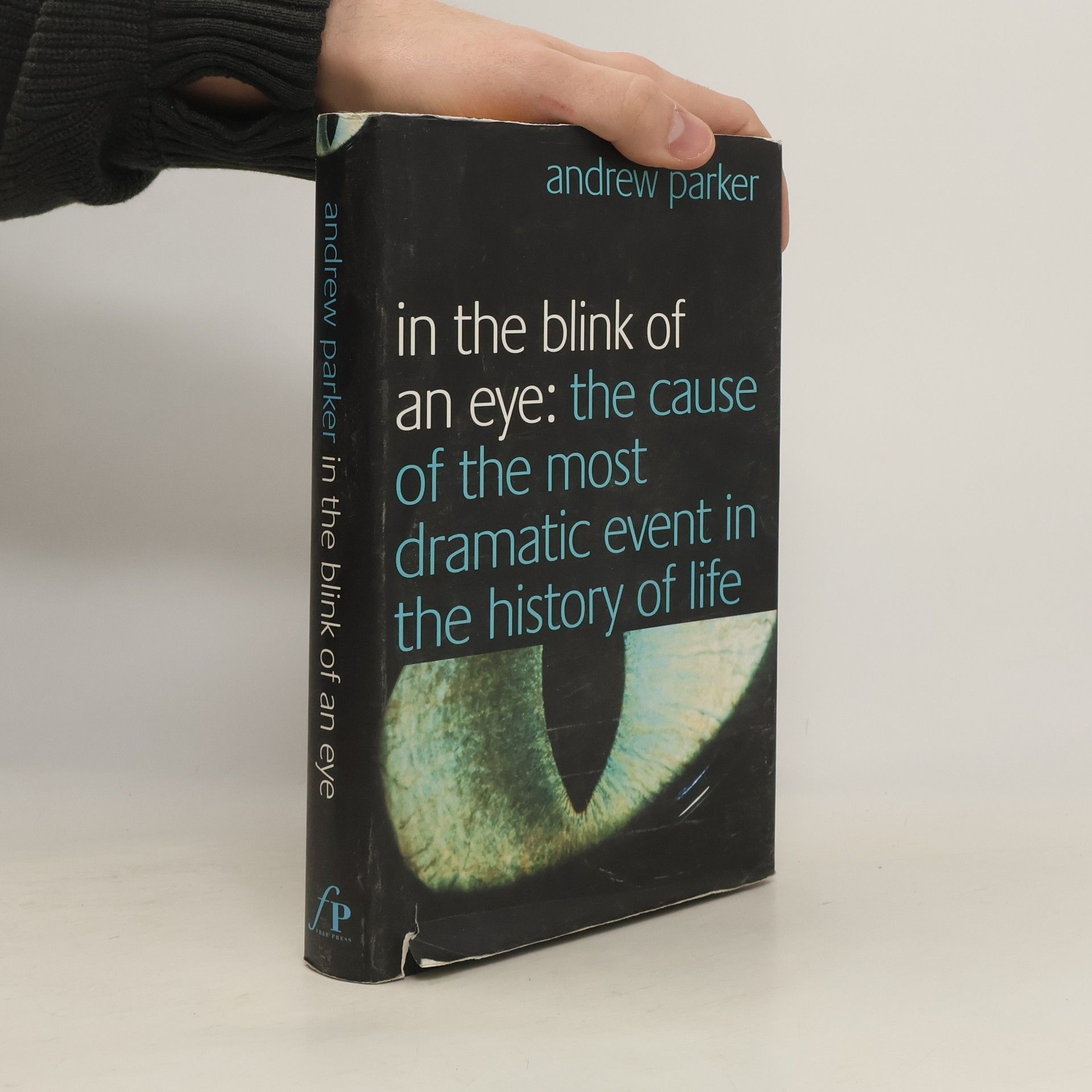 In the Blink of an Eye