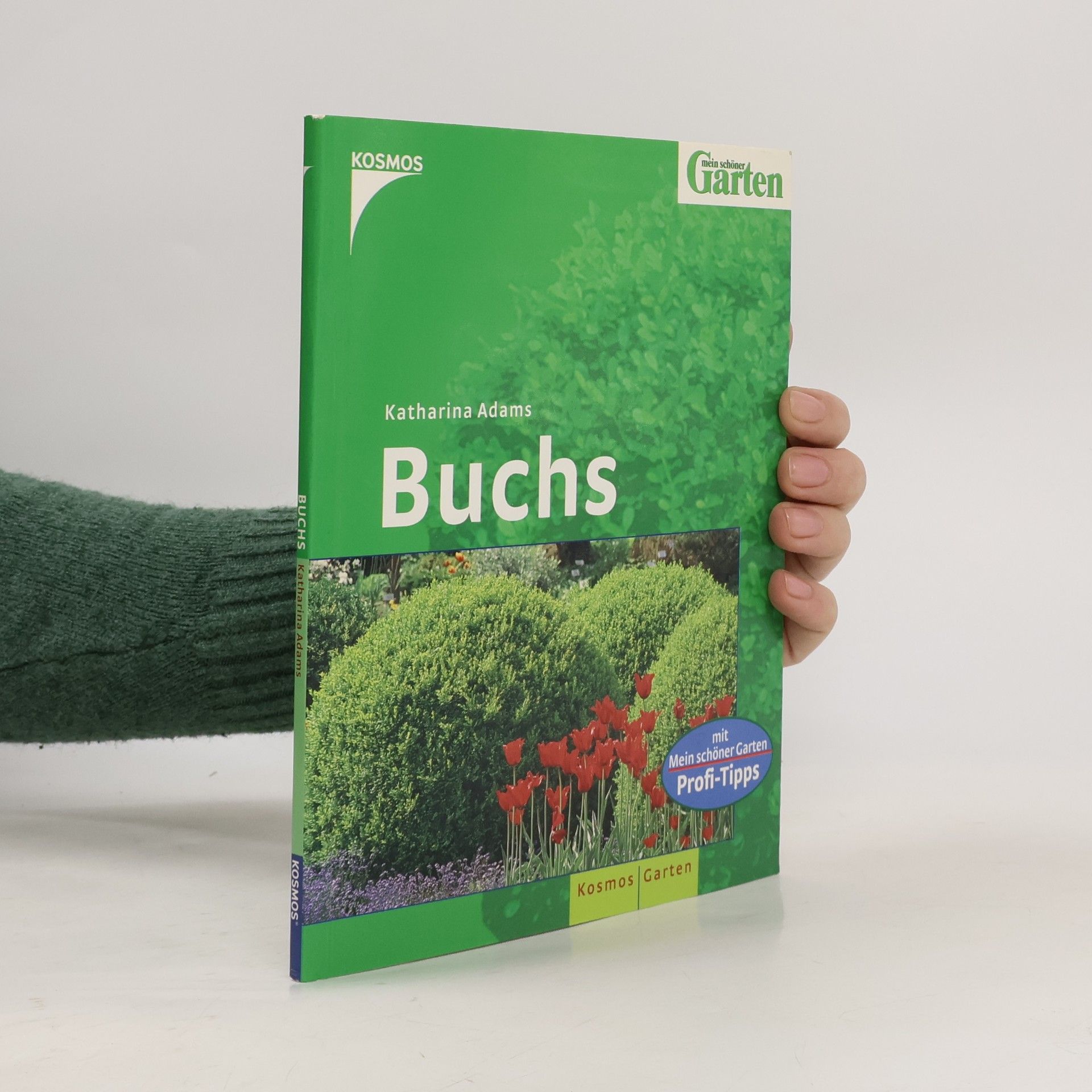 Katharina Adams Buchs