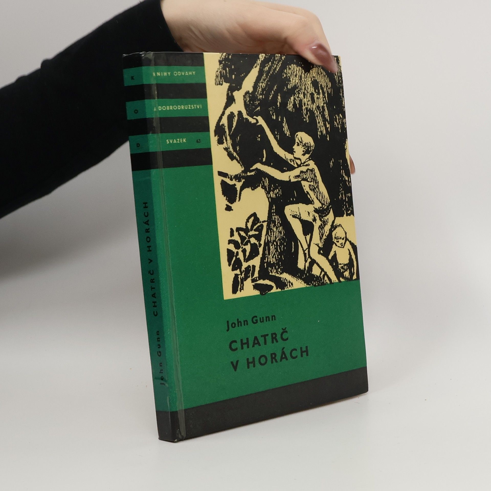 John Gunn Chatrč v horách