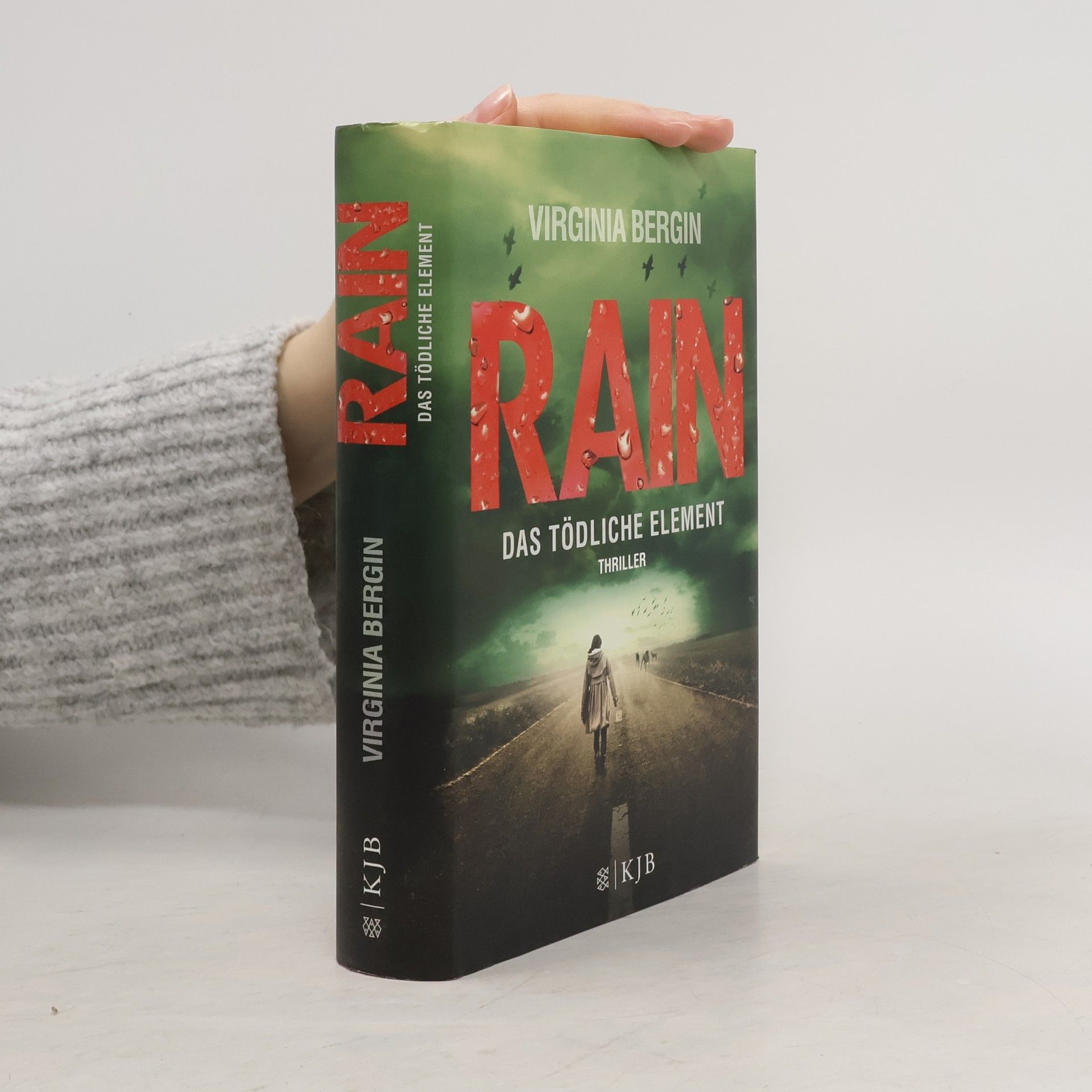 Virginia Bergin Rain - das tödliche Element