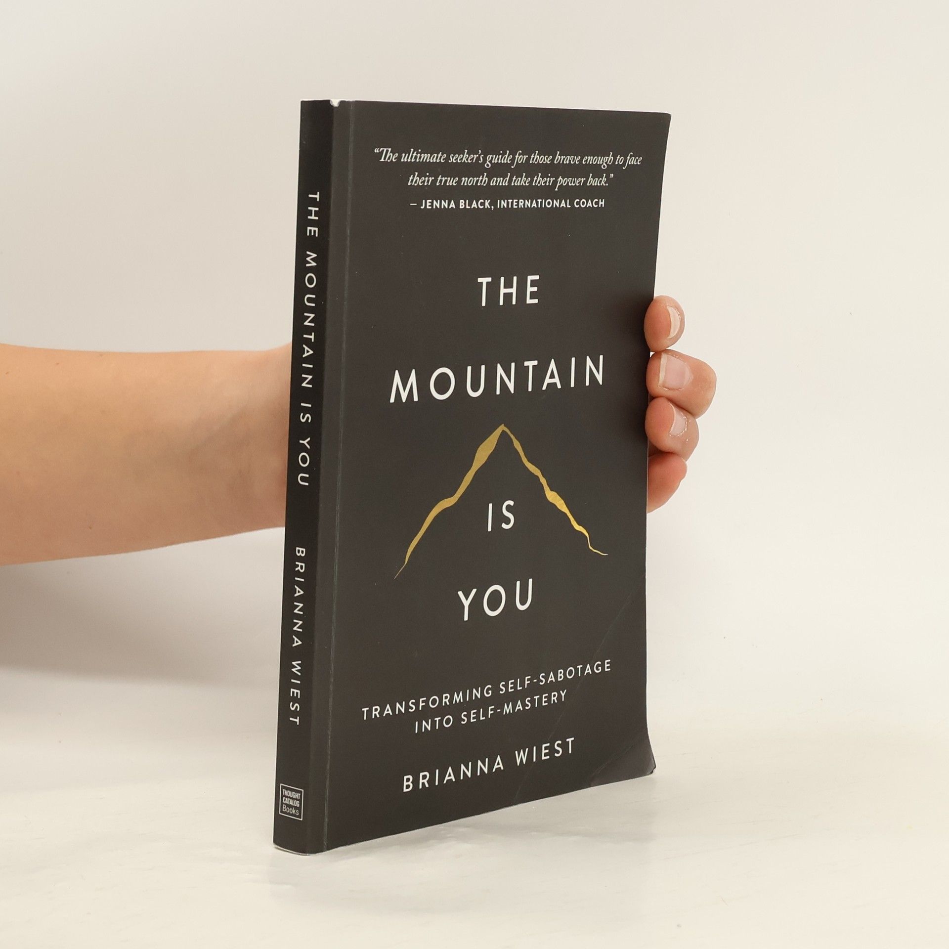 Brianna Wiest The Mountain Is You