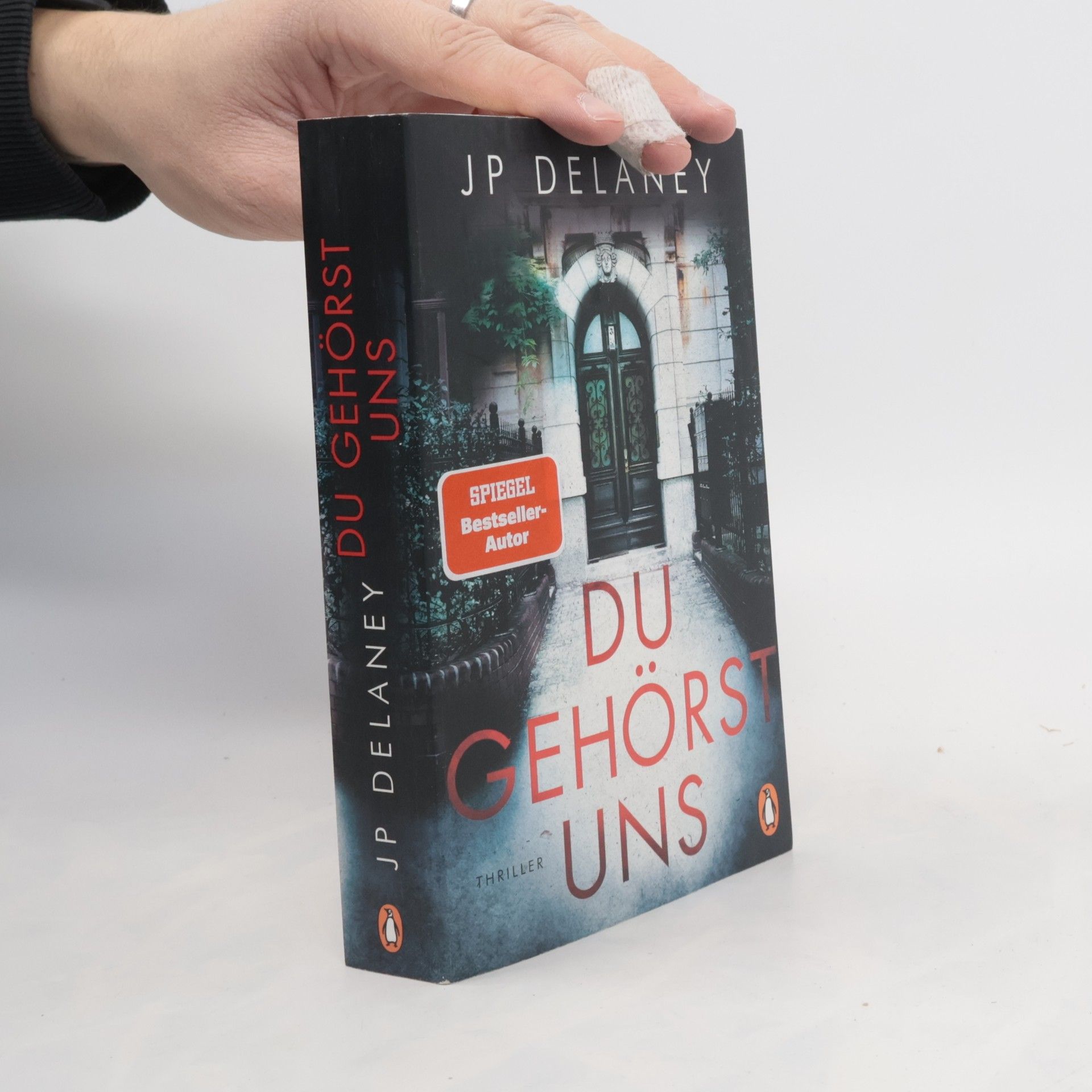 J. P. Delaney Du gehörst uns