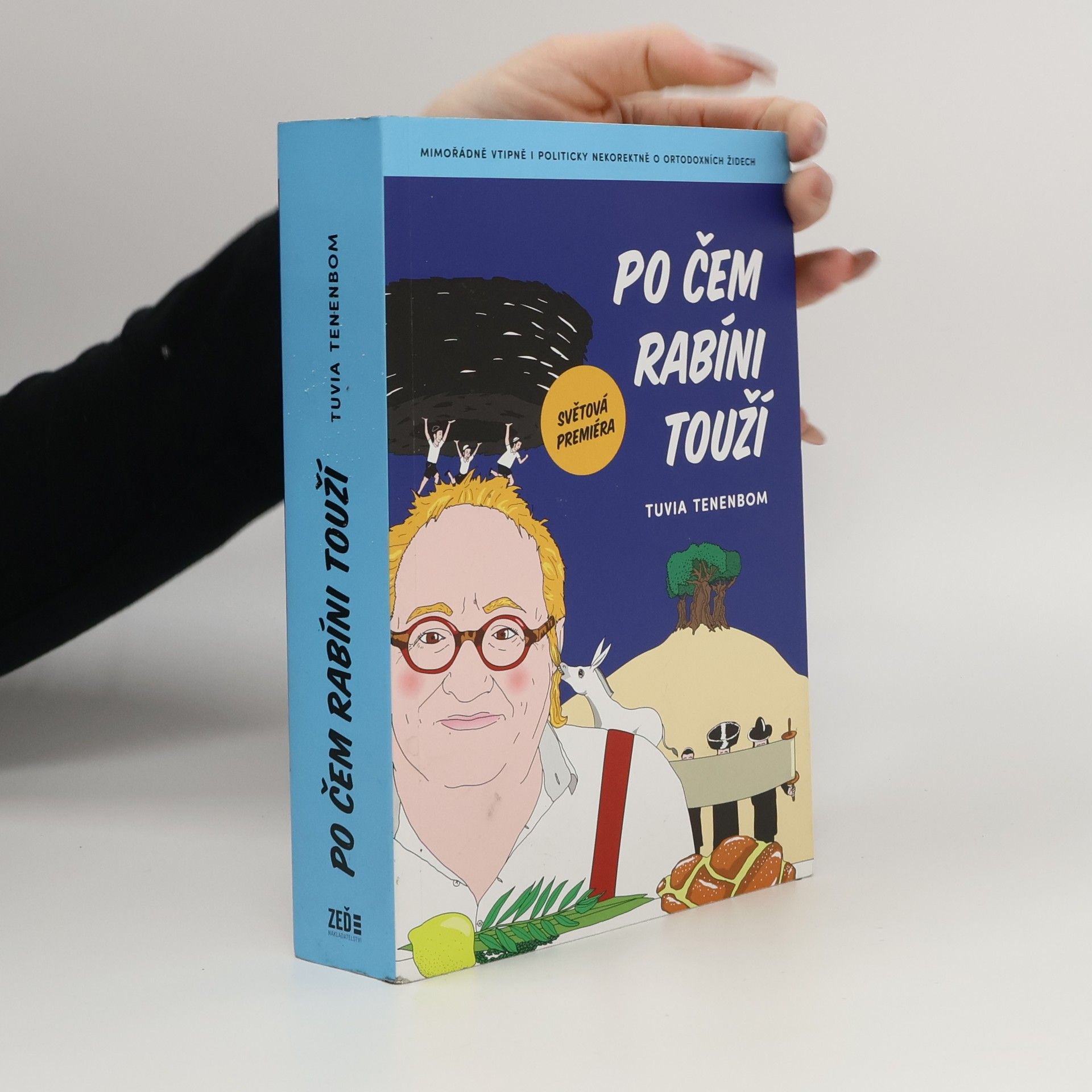 Tuvia Tenenbom Po čem rabíni touží : mimořádně vtipná i politicky nekorektní zpráva o ortodoxních Židech