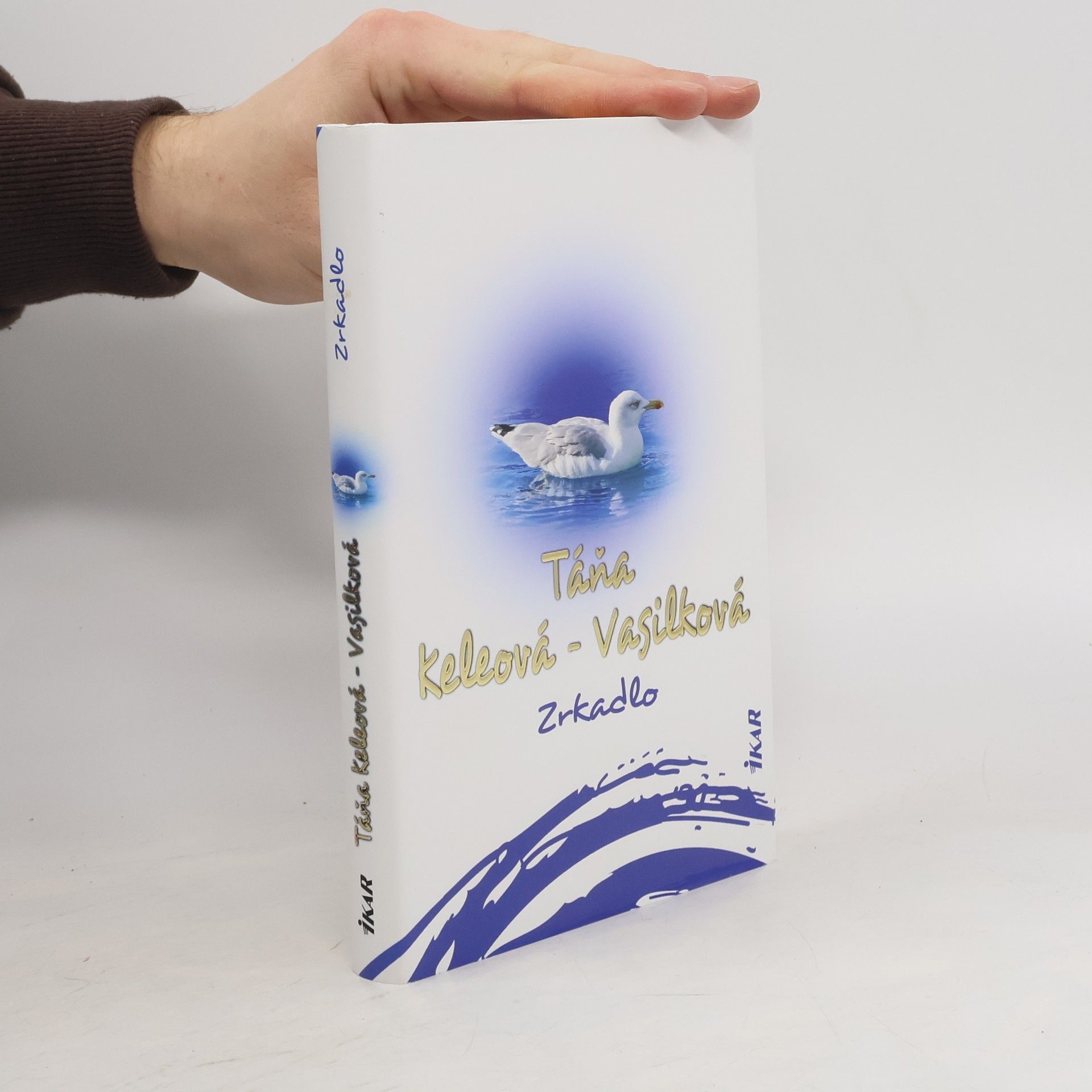 Táňa Keleová-Vasilková Zrkadlo