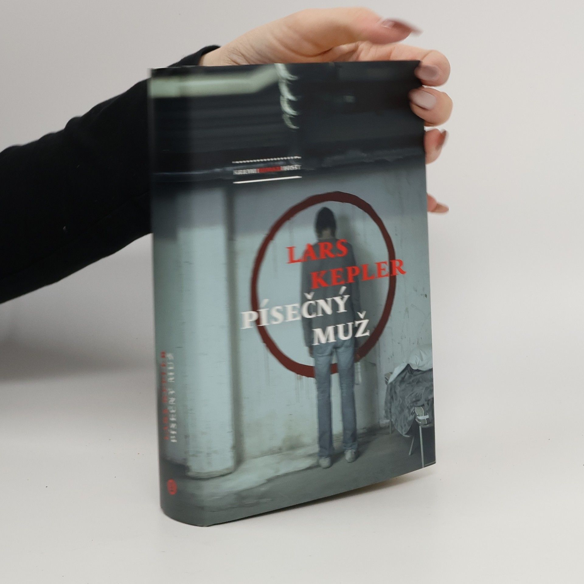 Lars Kepler Písečný muž