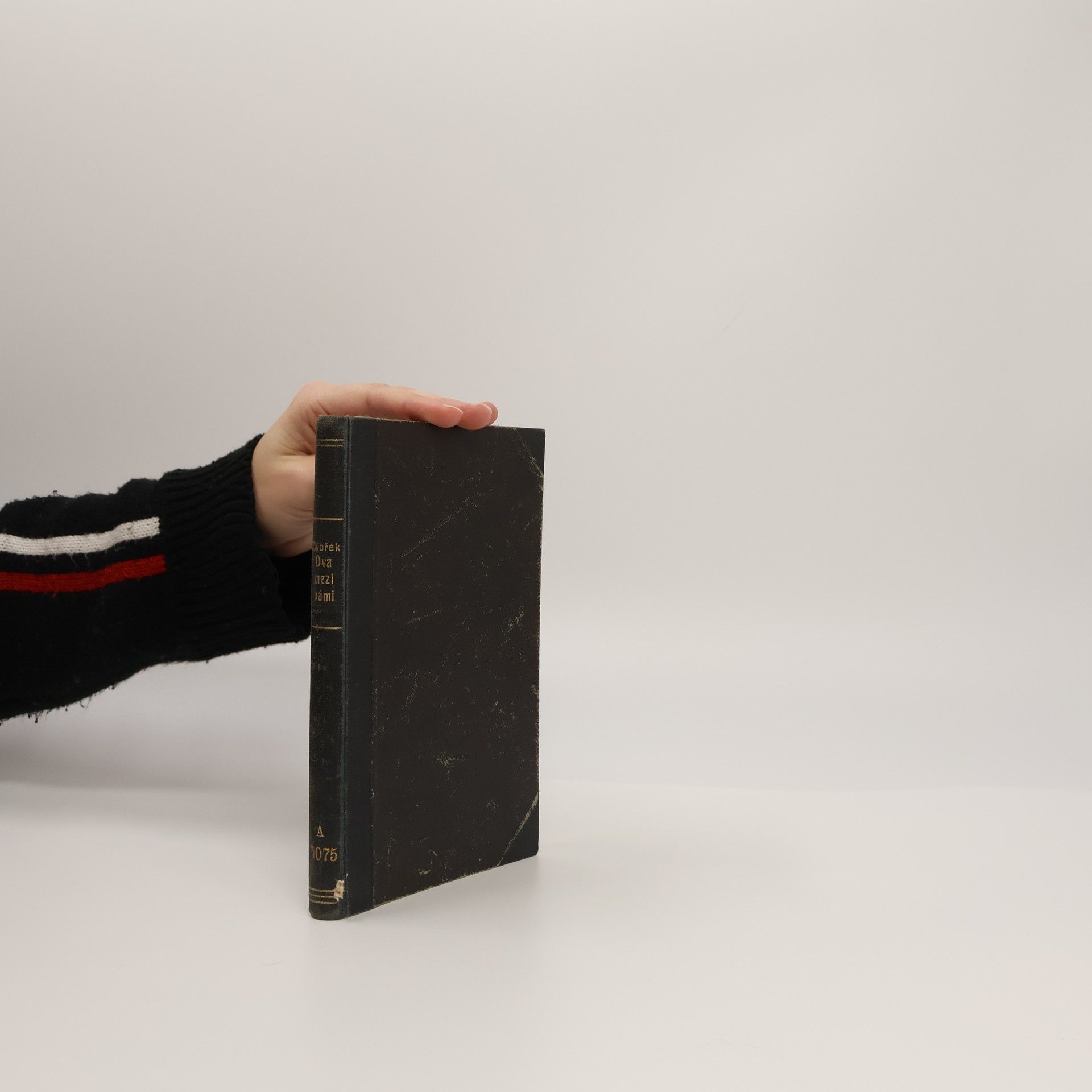 Josef Dvořák Dva mezi námi