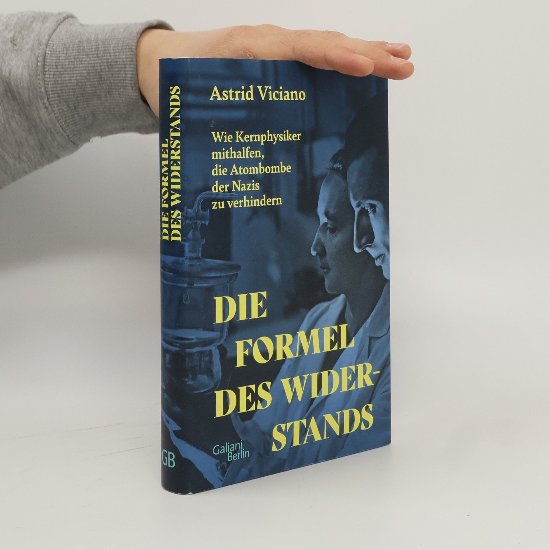 Astrid Viciano Die Formel des Widerstands