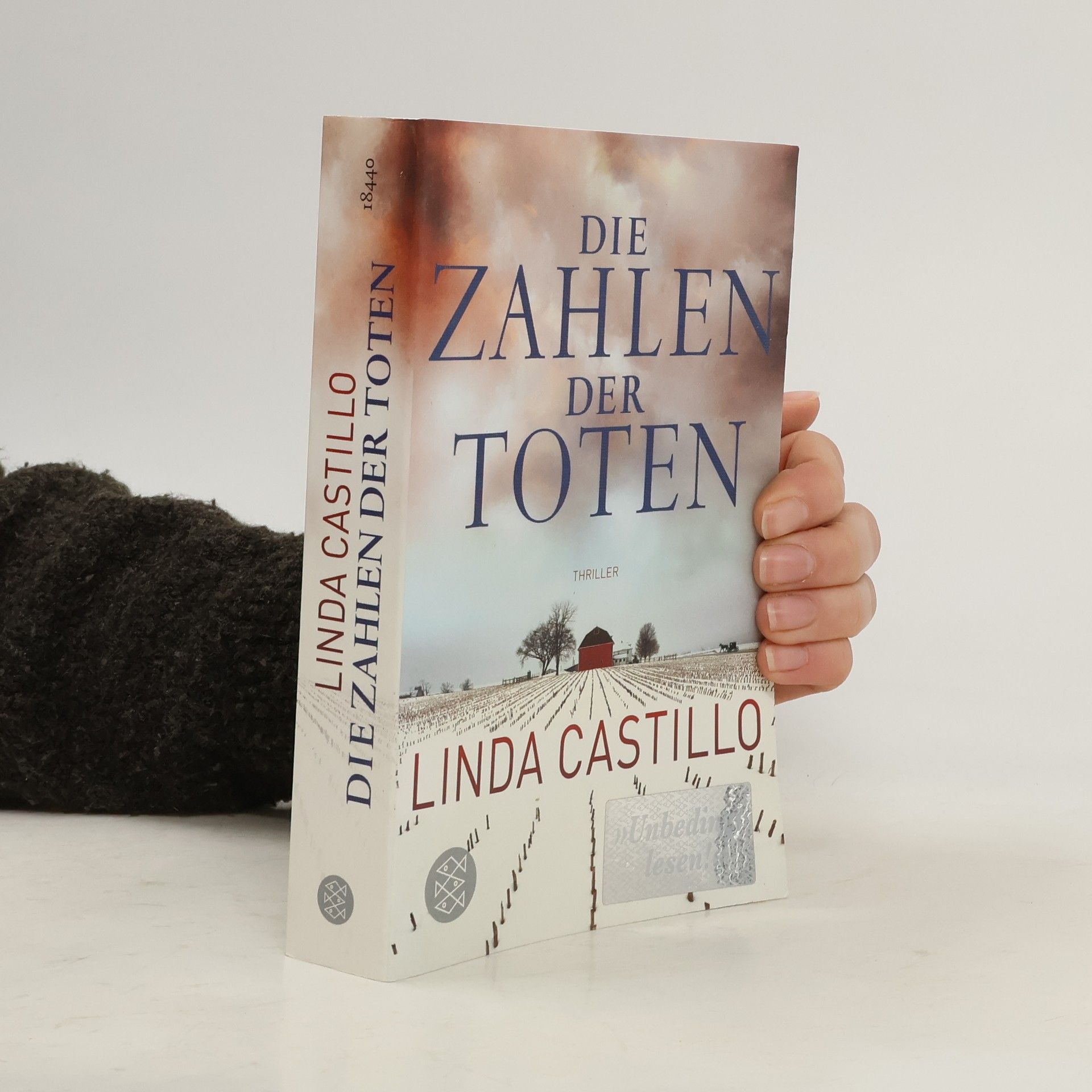 Linda Castillo Die Zahlen der Toten