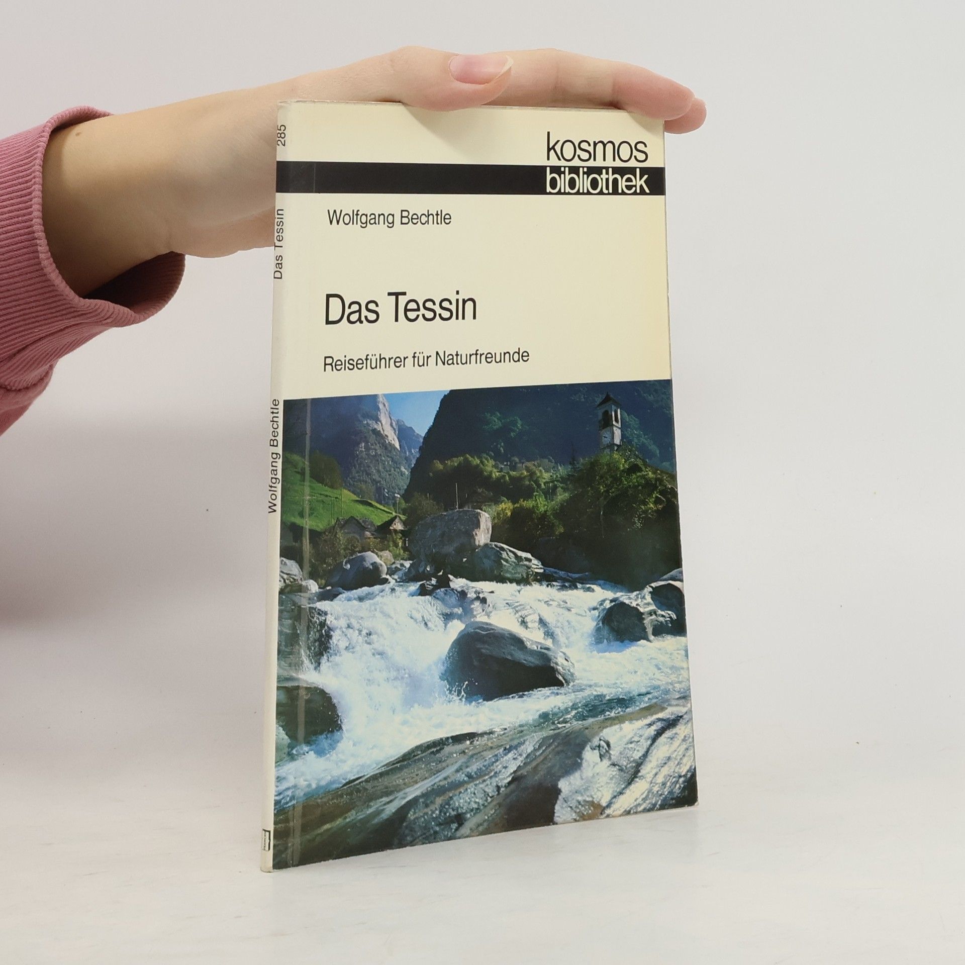 Wolfgang Bechtle Das Tessin