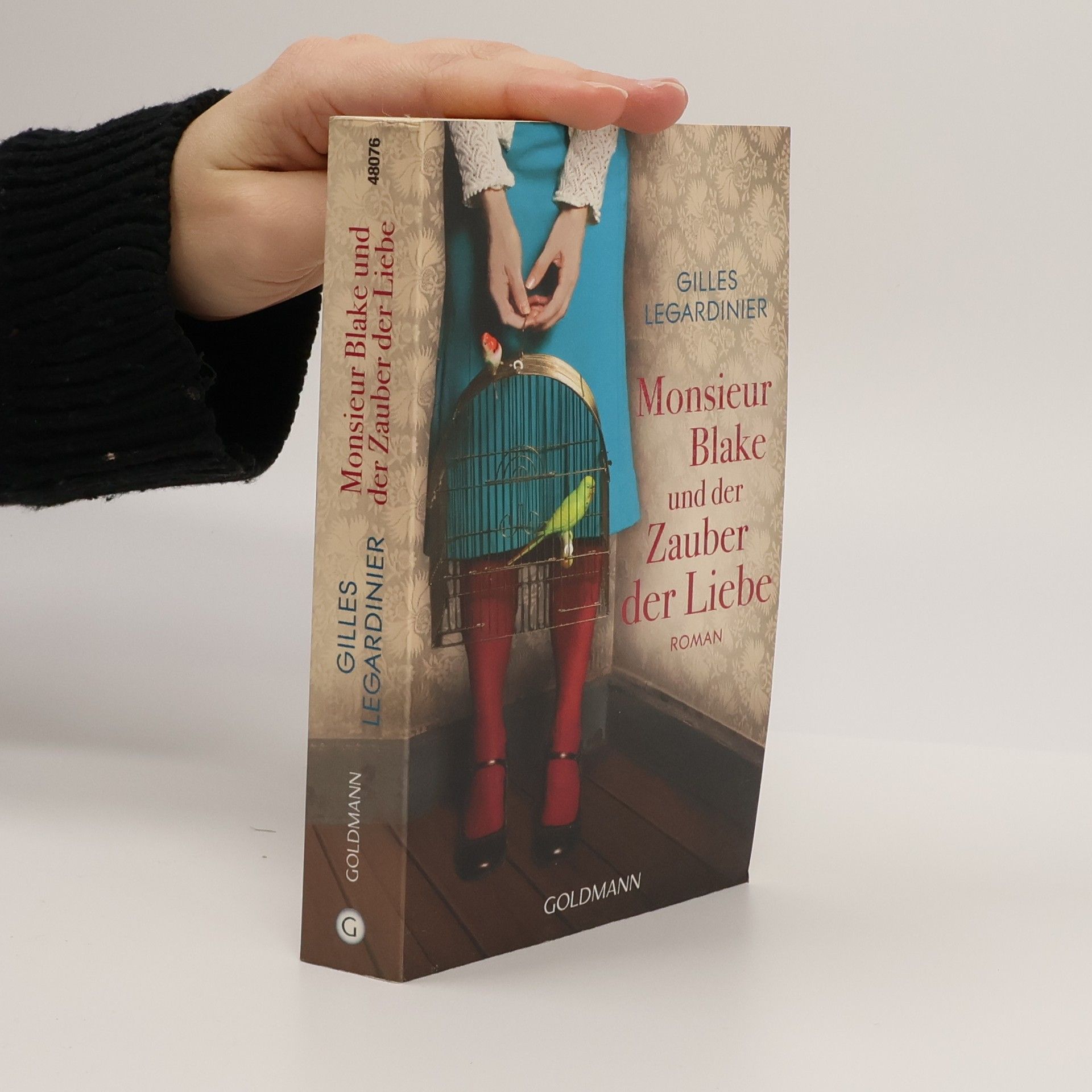 Gilles Legardinier Monsieur Blake und der Zauber der Liebe