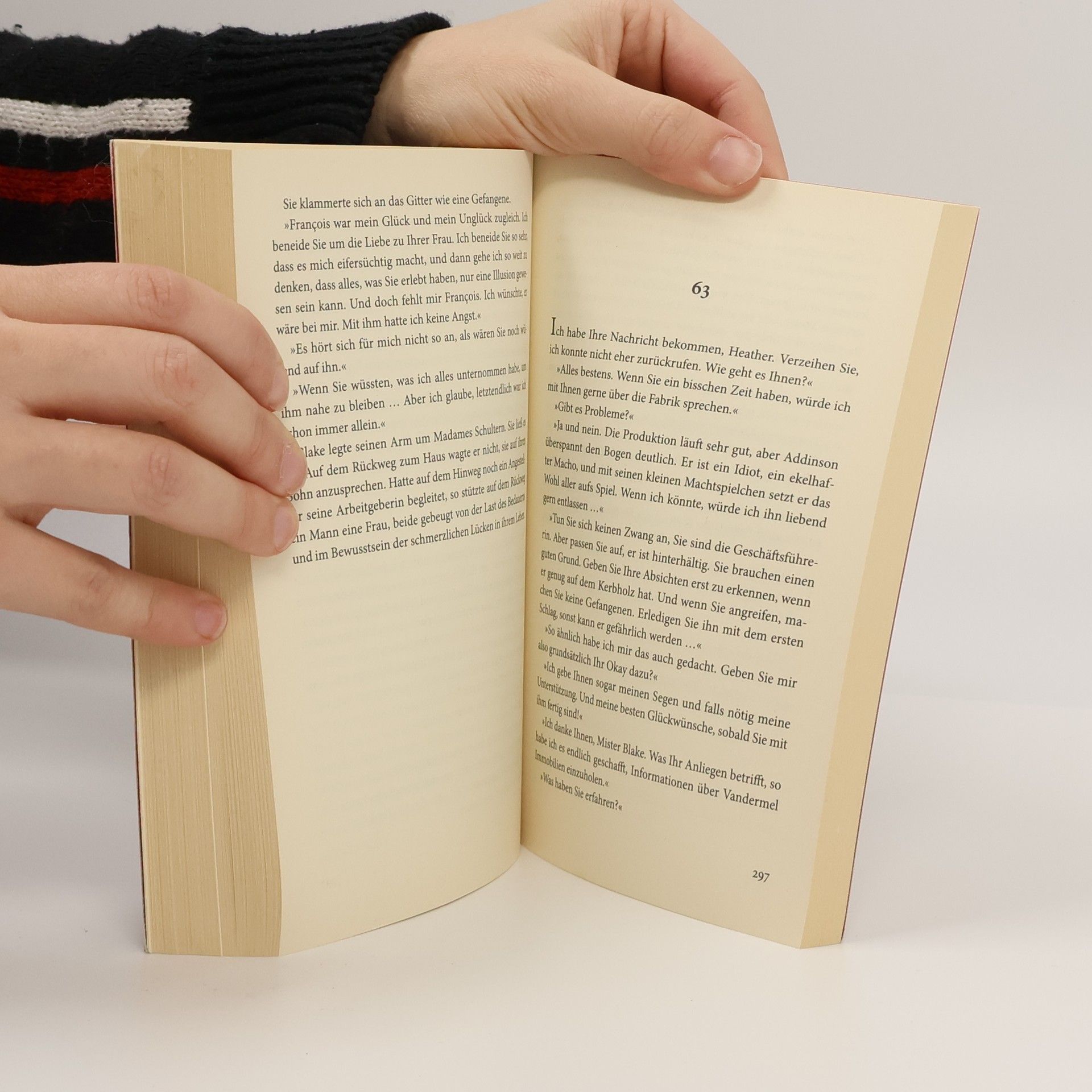 Gilles Legardinier Monsieur Blake und der Zauber der Liebe