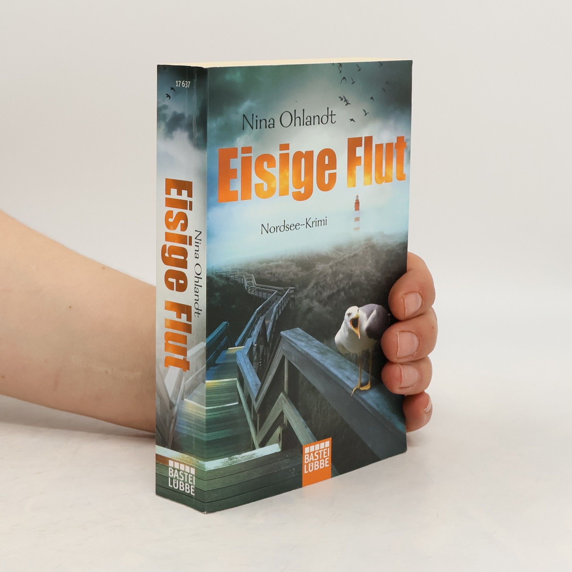 Nina Ohlandt Eisige Flut