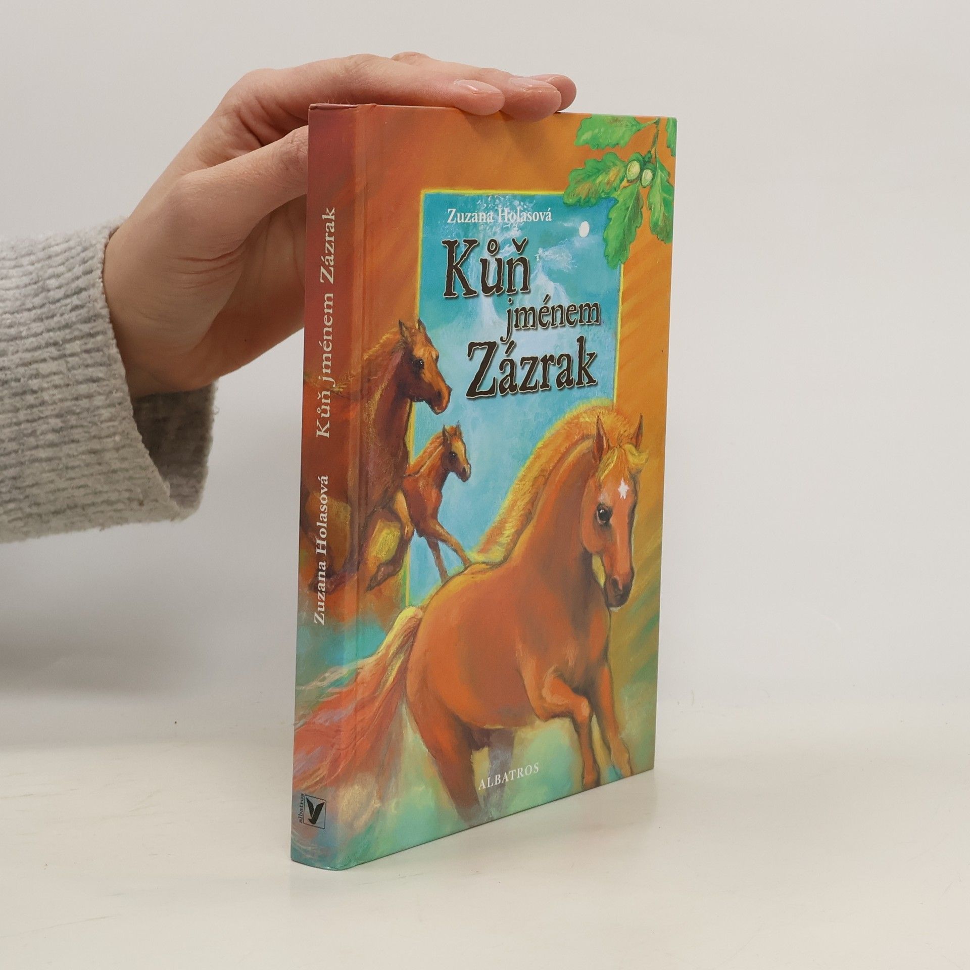 Zuzana Holasova Kůň jménem Zázrak