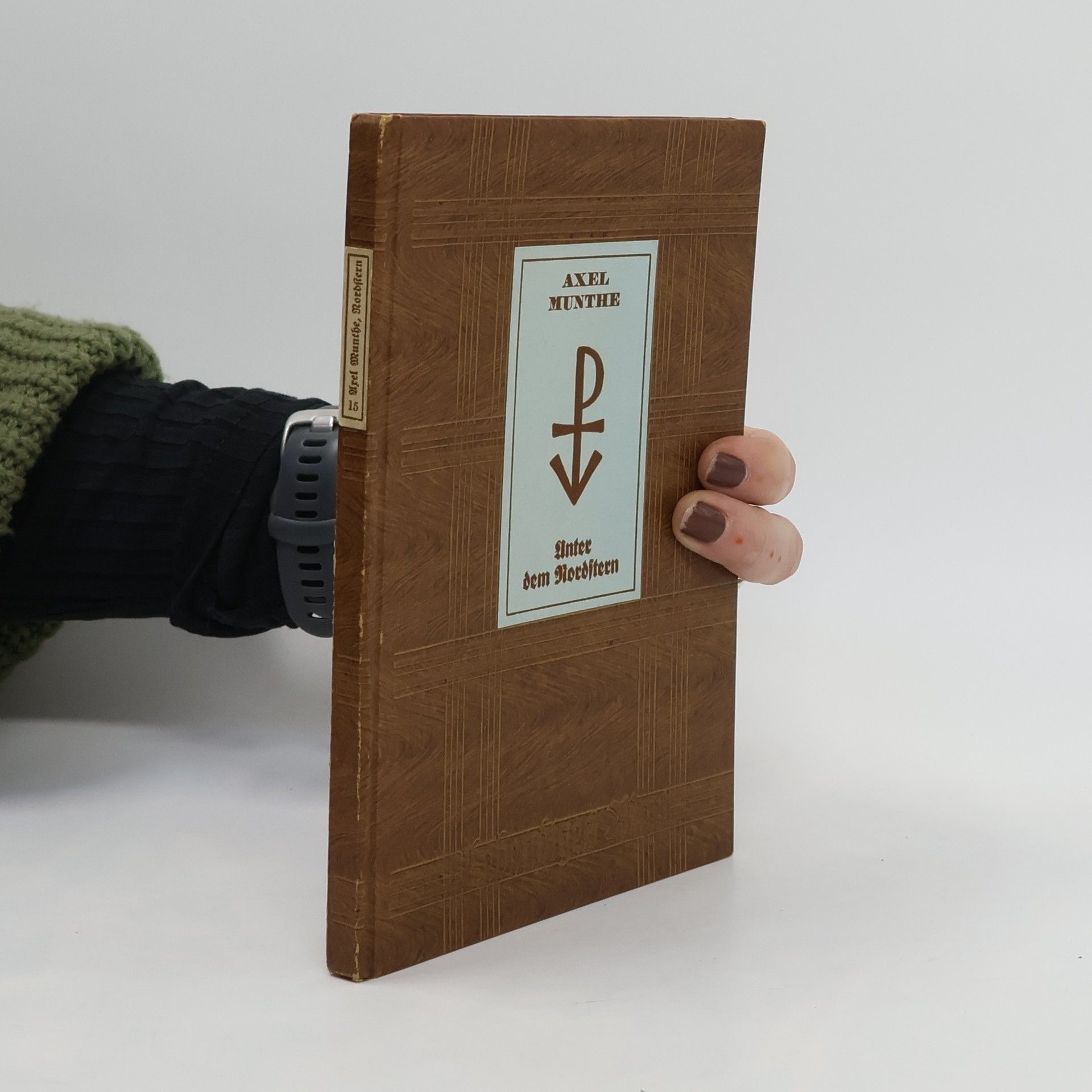 Axel Munthe Unter dem Nordsteen