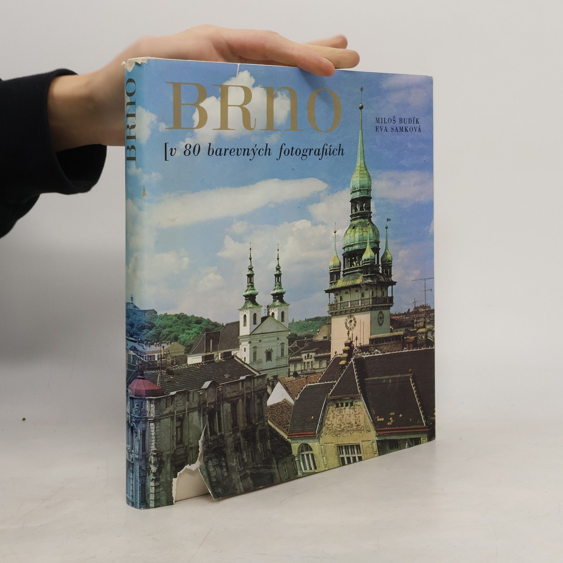 Miloš Budík Brno. V 80 barevných fotografiích