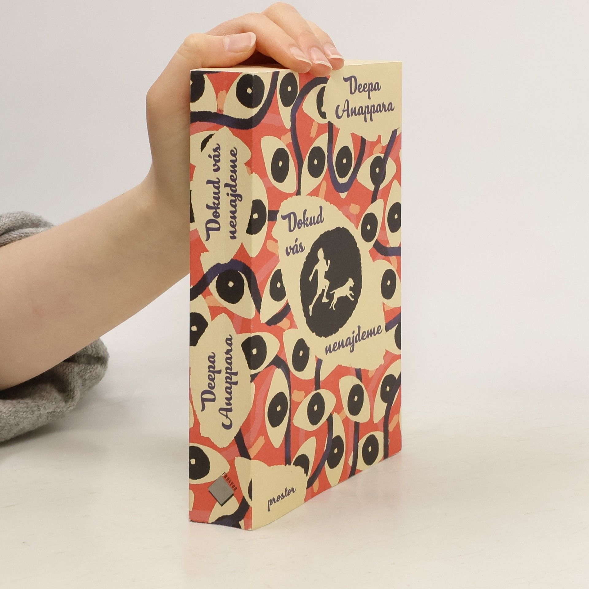 Deepa Anappara Dokud vás nenajdeme