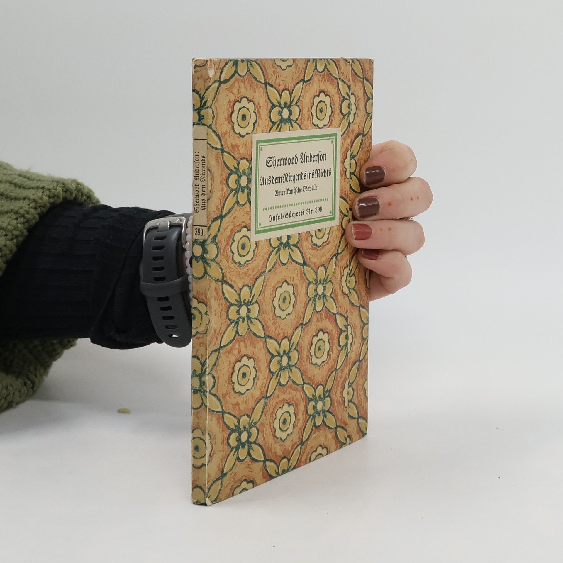 Sherwood Anderson Aus dem Nirgends ins Nichts