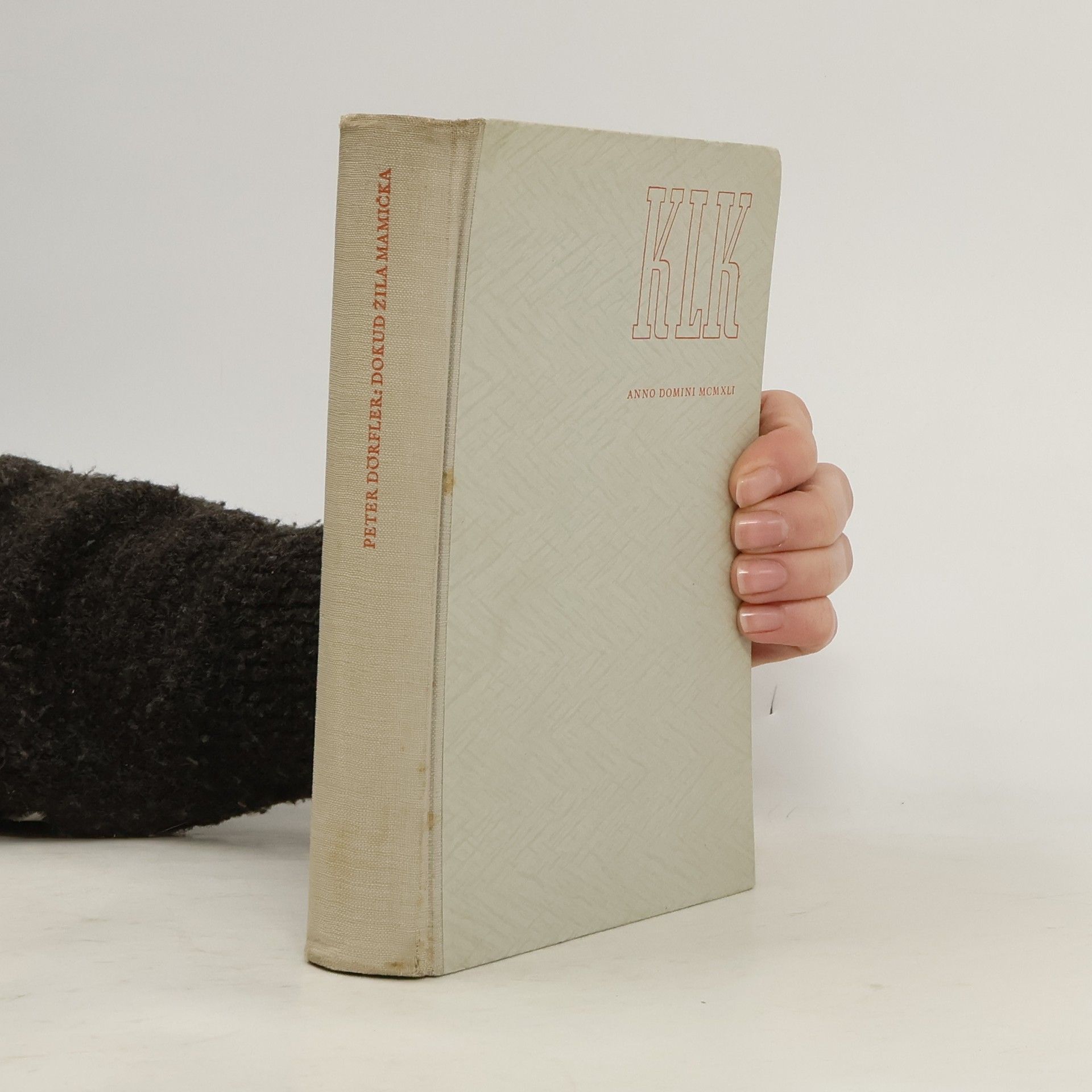 Dörfler Peter Dokud žila mamička : Příběhy z dětství