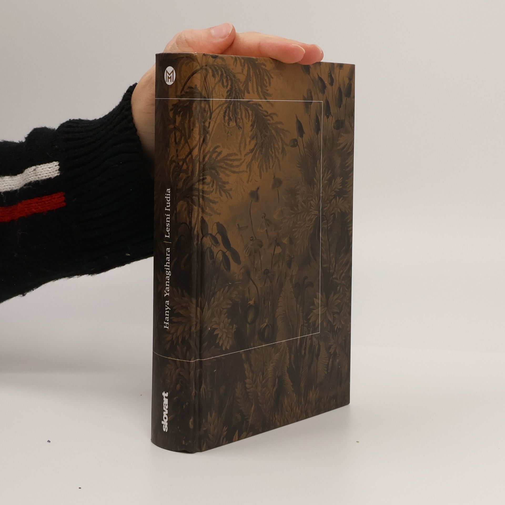 Hanya Yanagihara Lesní ľudia