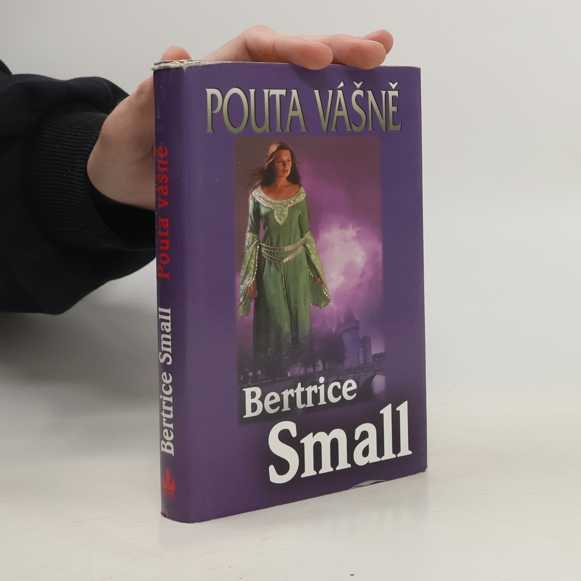 Bertrice Small Pouta vášně