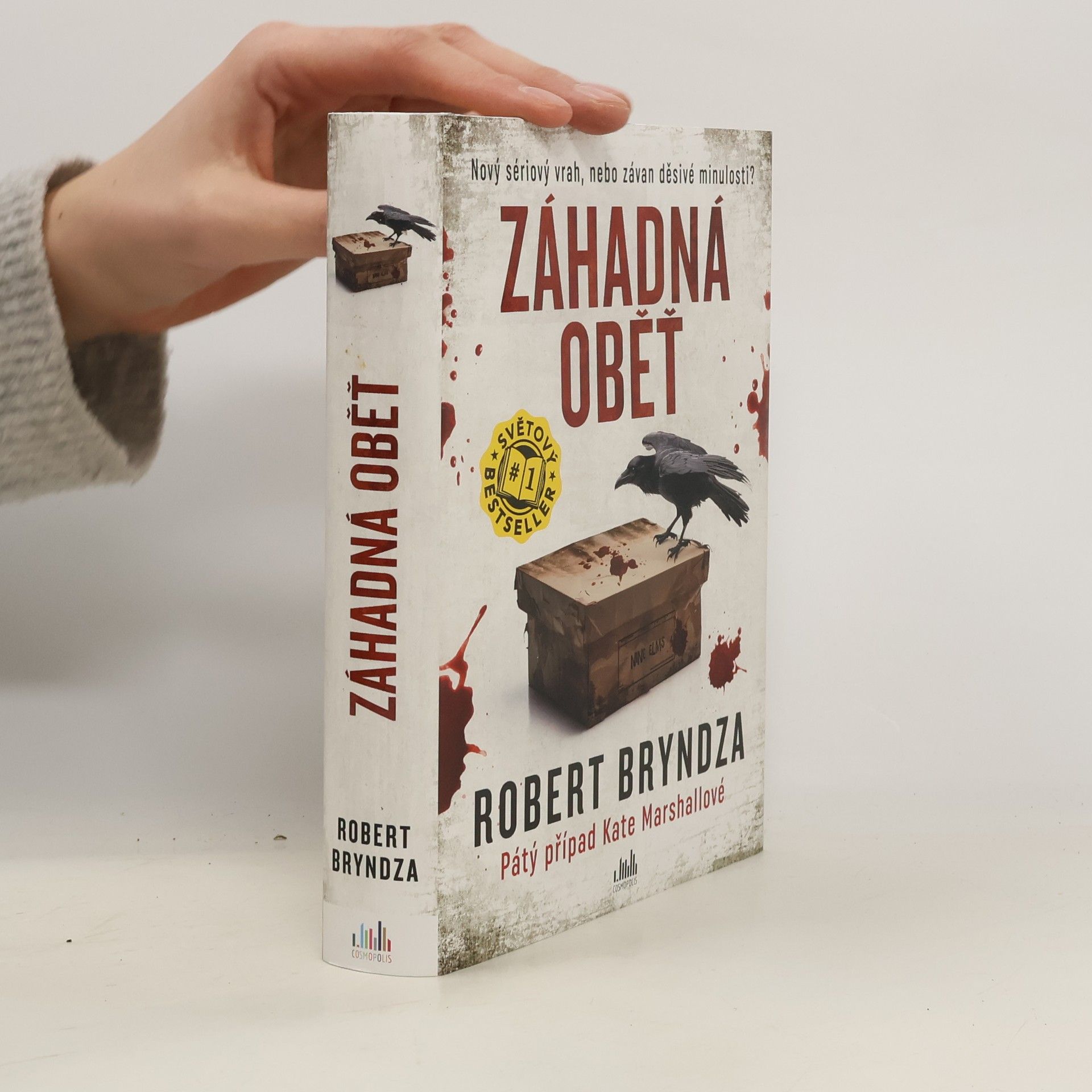 Robert Bryndza Záhadná oběť