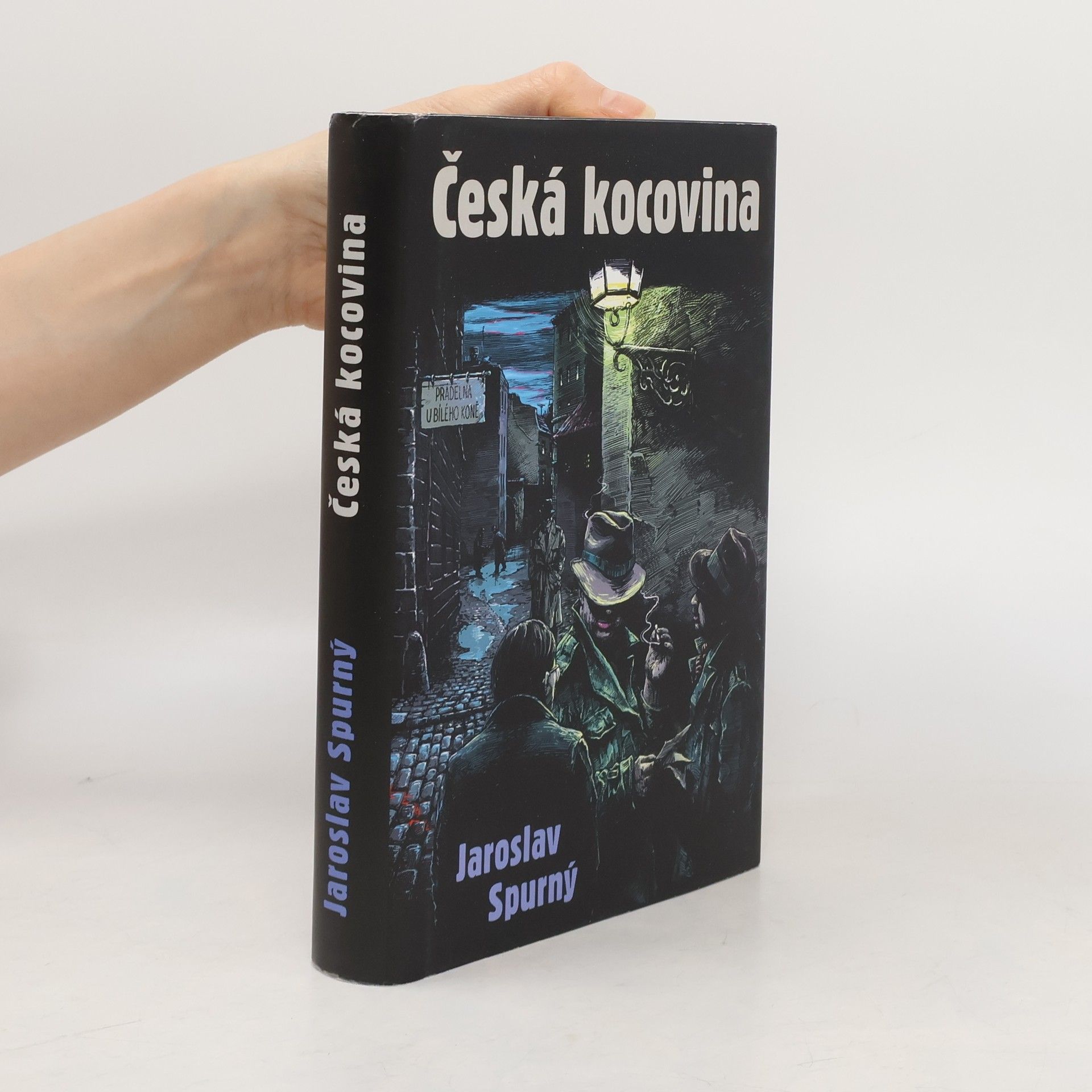 Česká kocovina