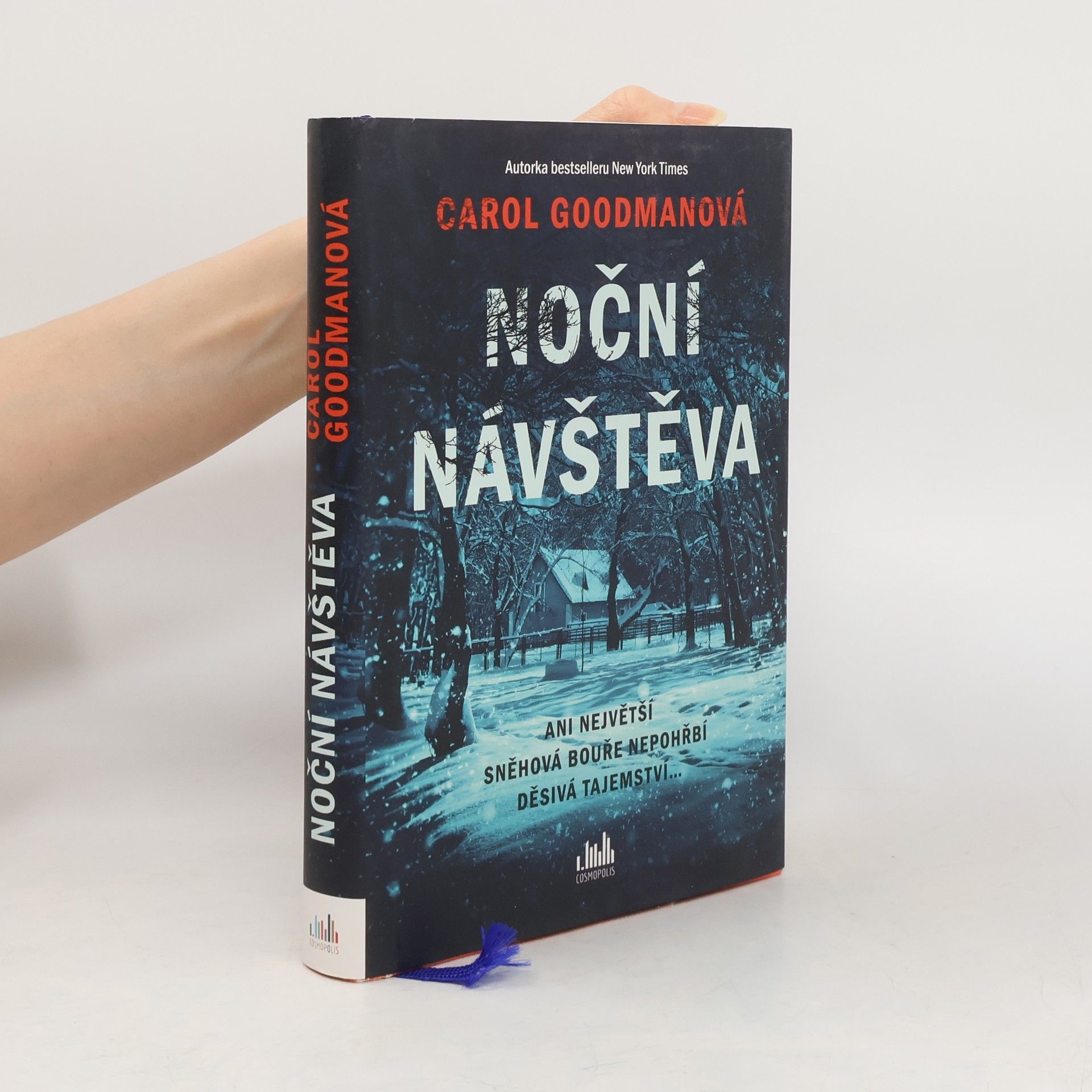 Lee Carroll Noční návštěva