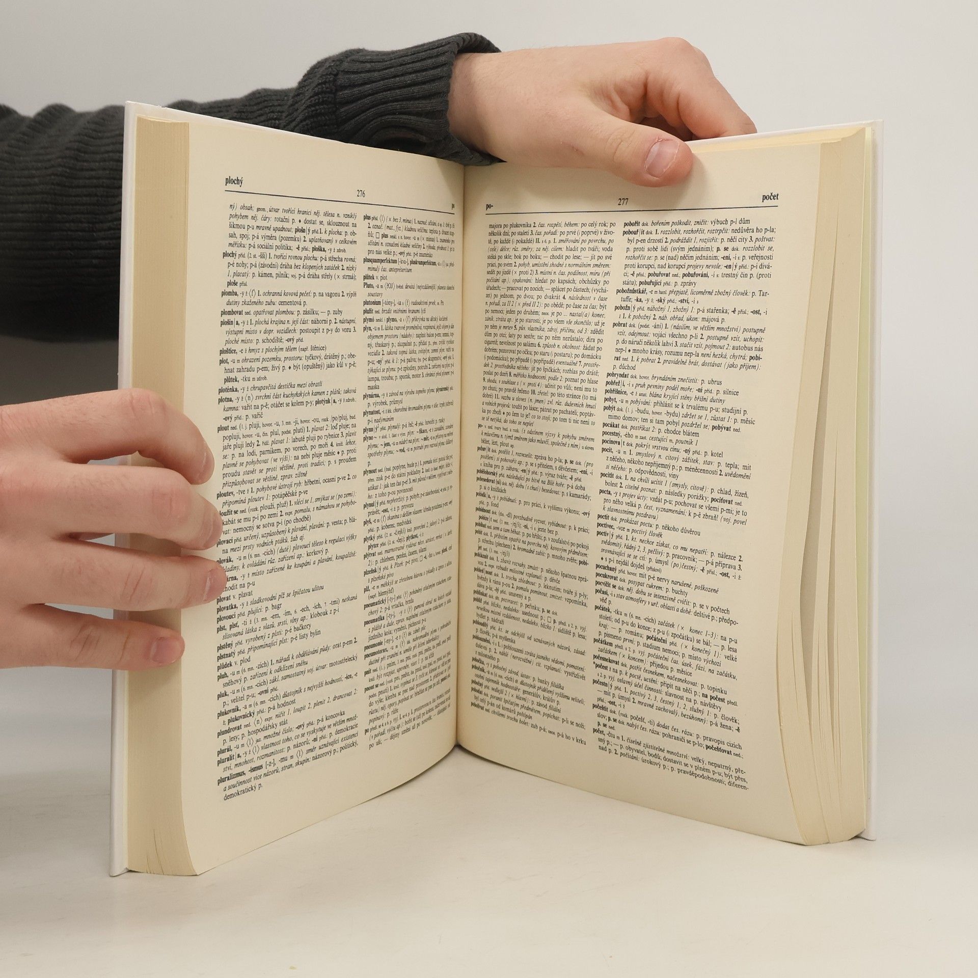 Autorenkollektiv Slovník spisovné češtiny pro školu a veřejnost