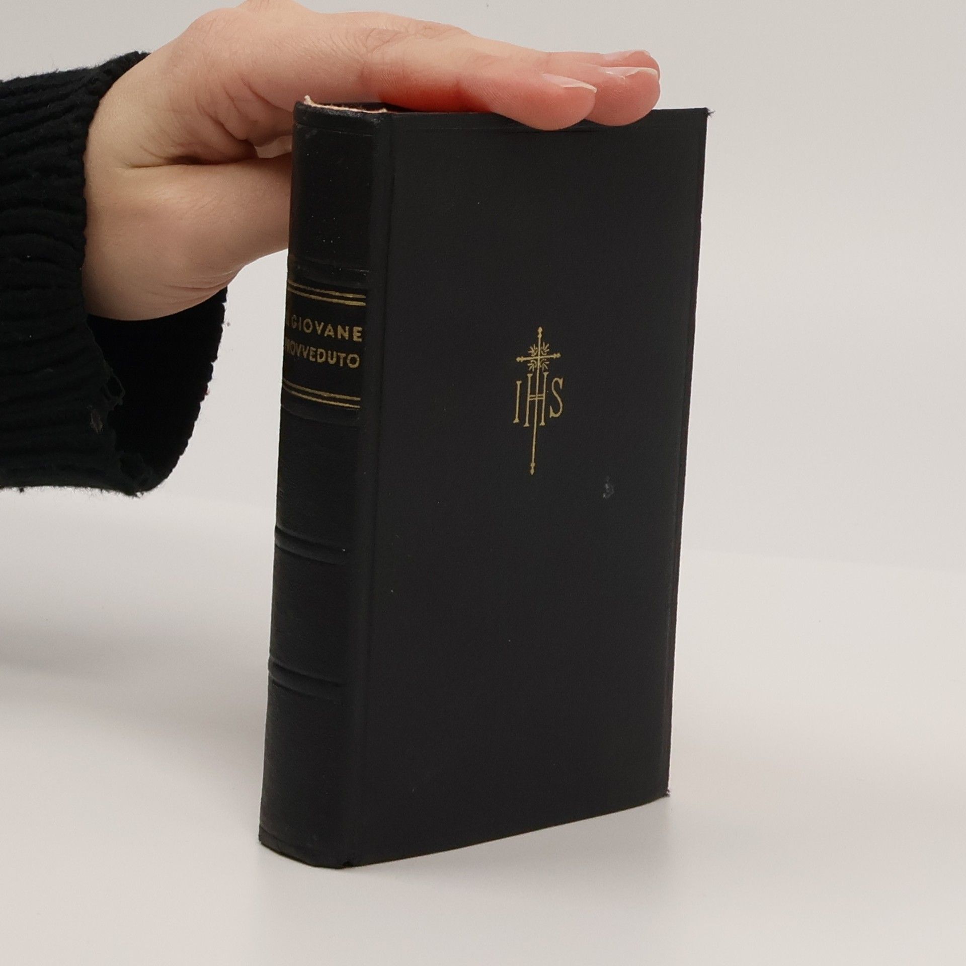 Giovanni Bosco Il giovane provveduto