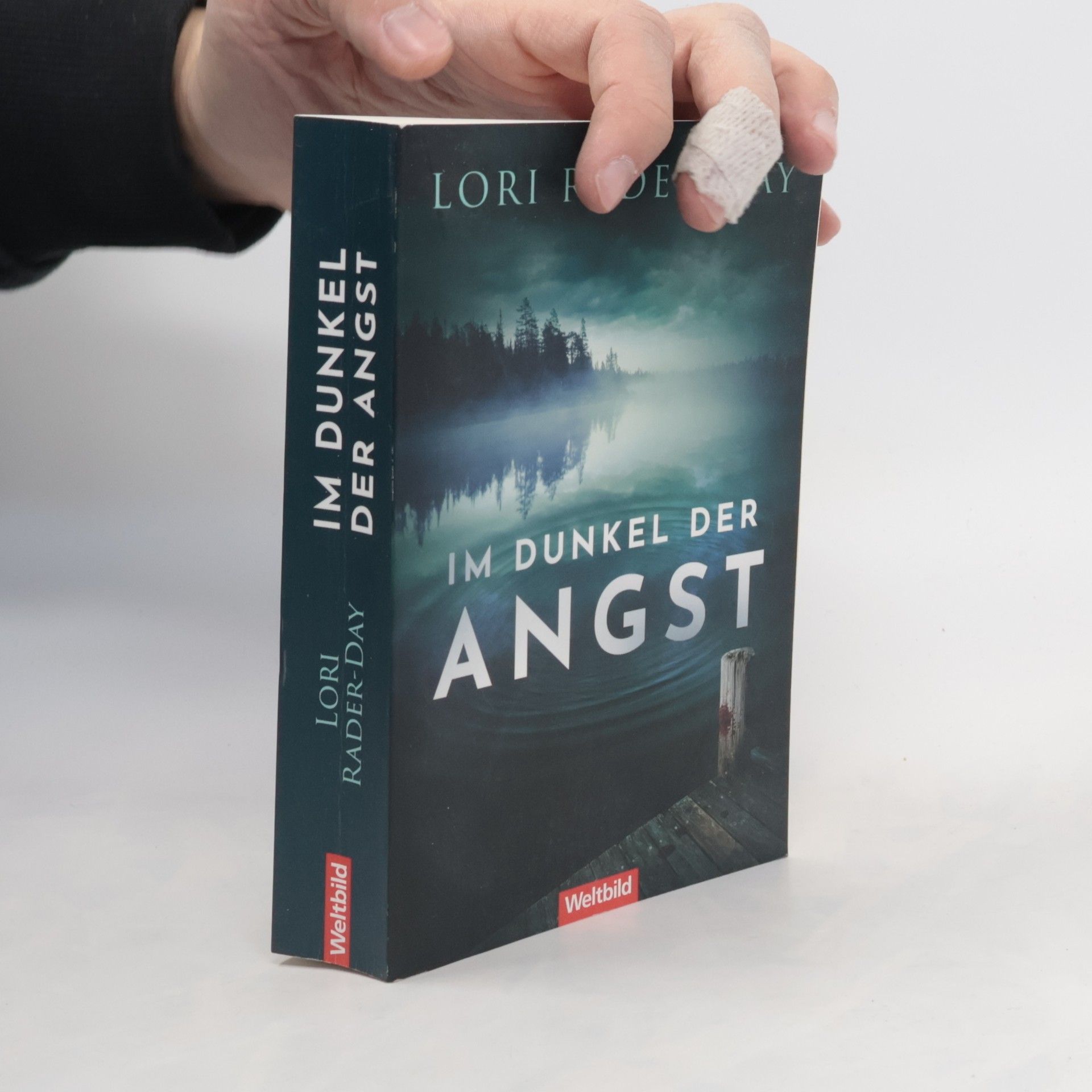 Lori Rader-Day Im Dunkel der Angst