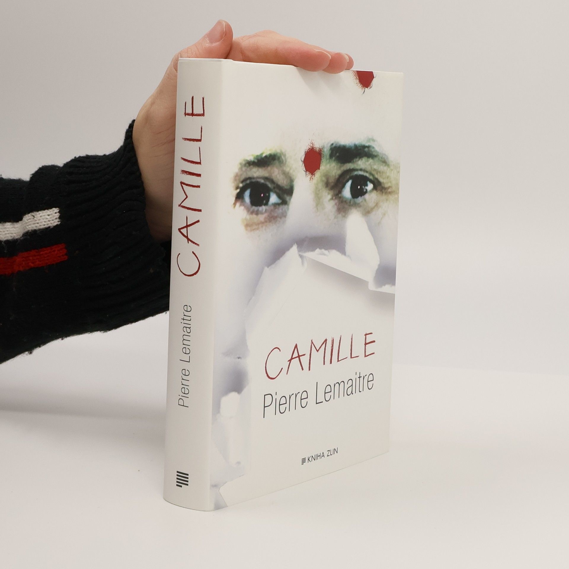 Pierre Lemaitre Camille