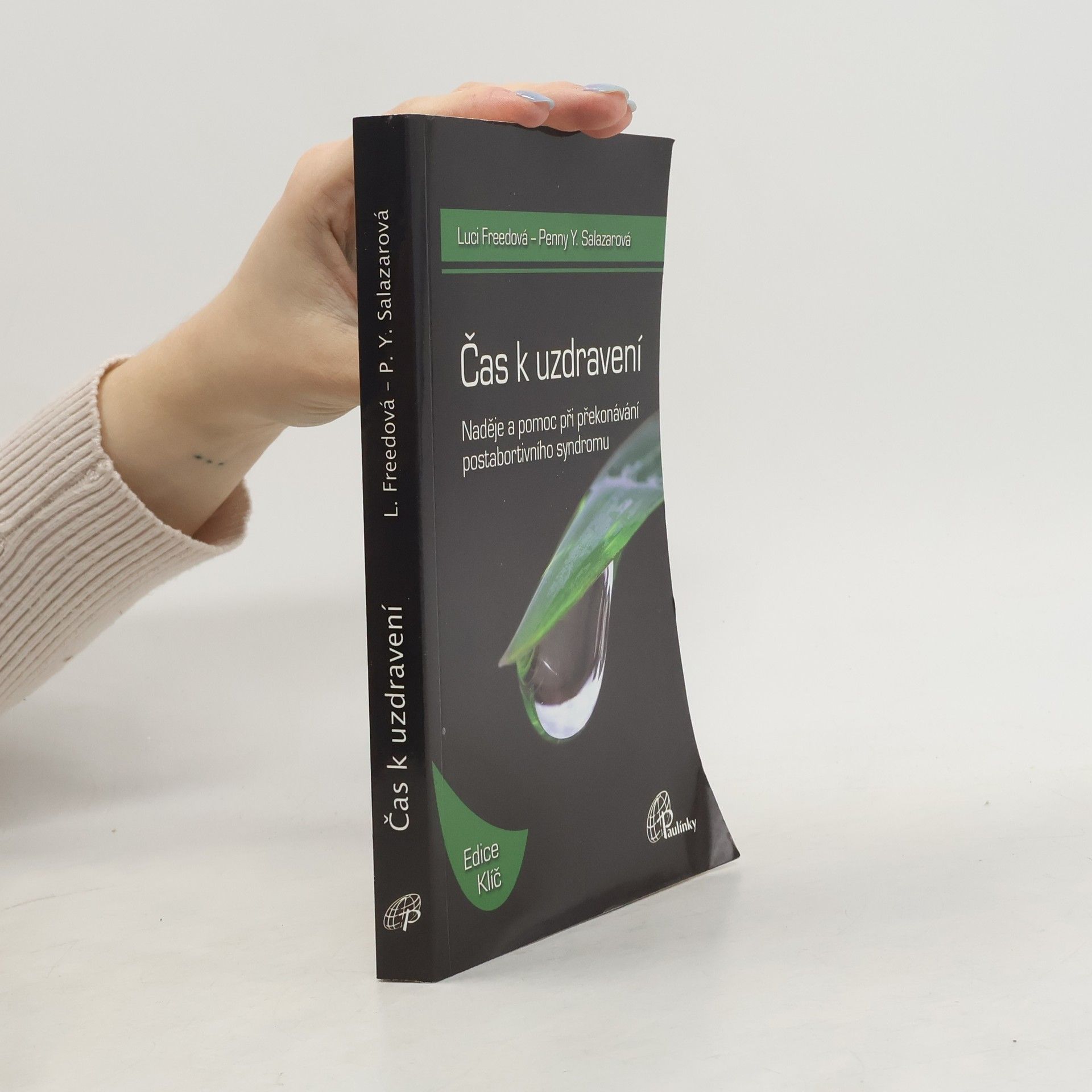 Luci Freed Čas k uzdravení : naděje a pomoc při překonávání postabortivního syndromu