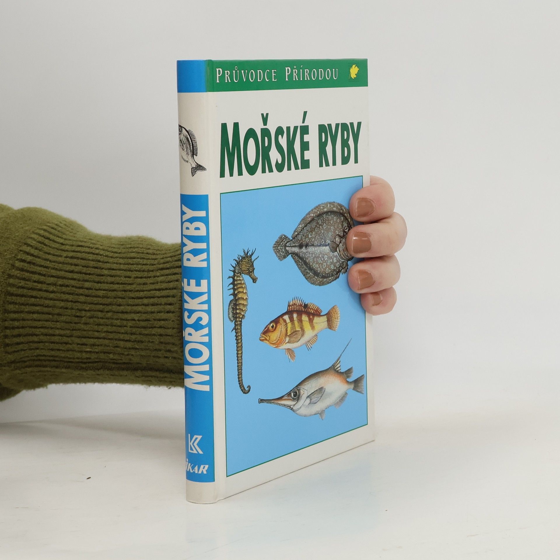 Friedhelm Sauer Mořské ryby v evropských vodách